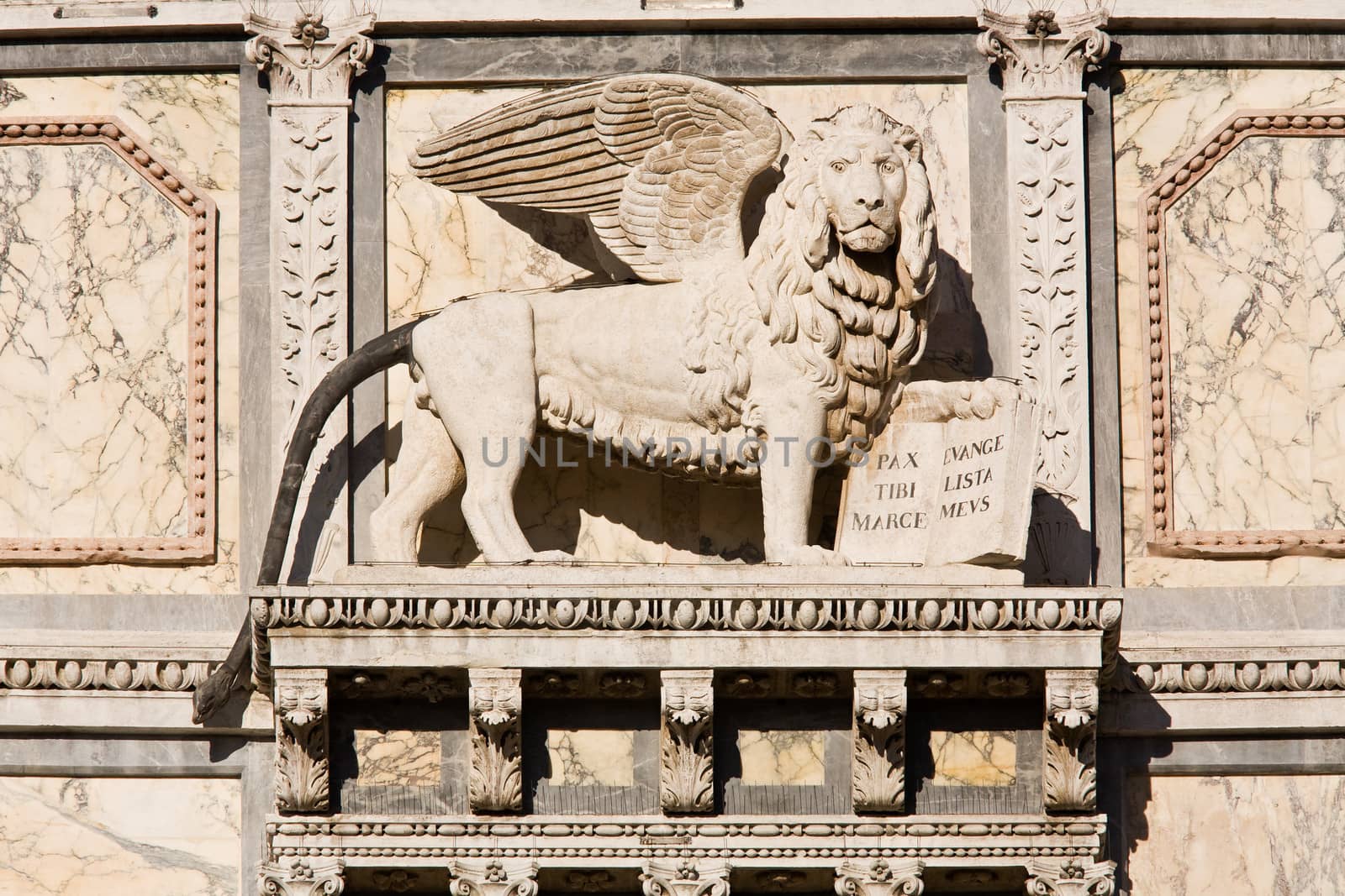 satue of the saint mark lion pazzia san marco saint mark place in the beautiful city of venice in italy