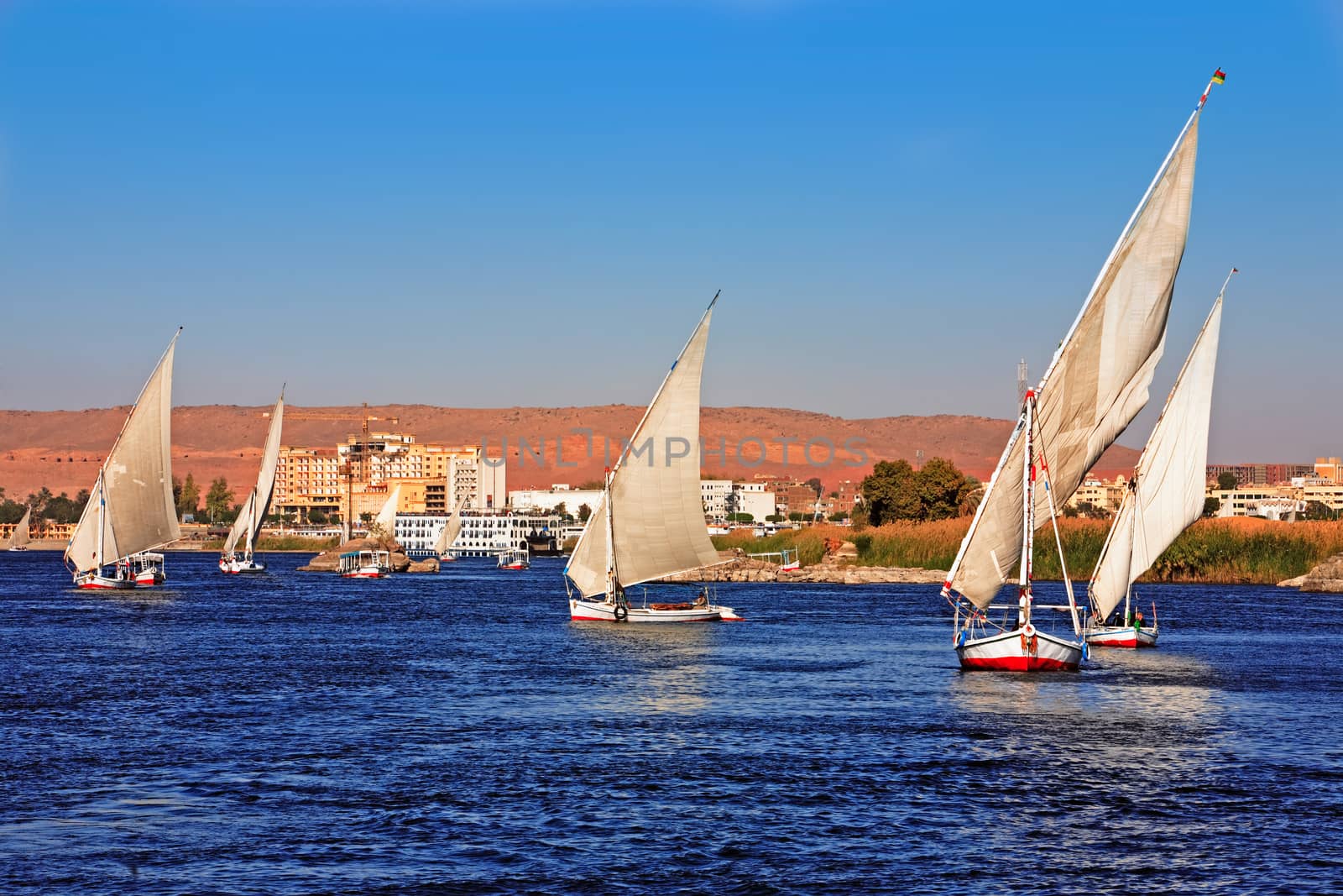 feluccas sailing on the river nile near aswan in egypt