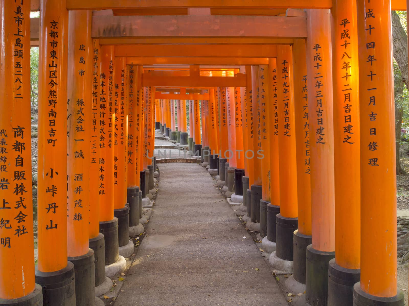 Pathway under tunnel of Torii gate at Fushimi Inari Shrine in Kyoto, Japan
