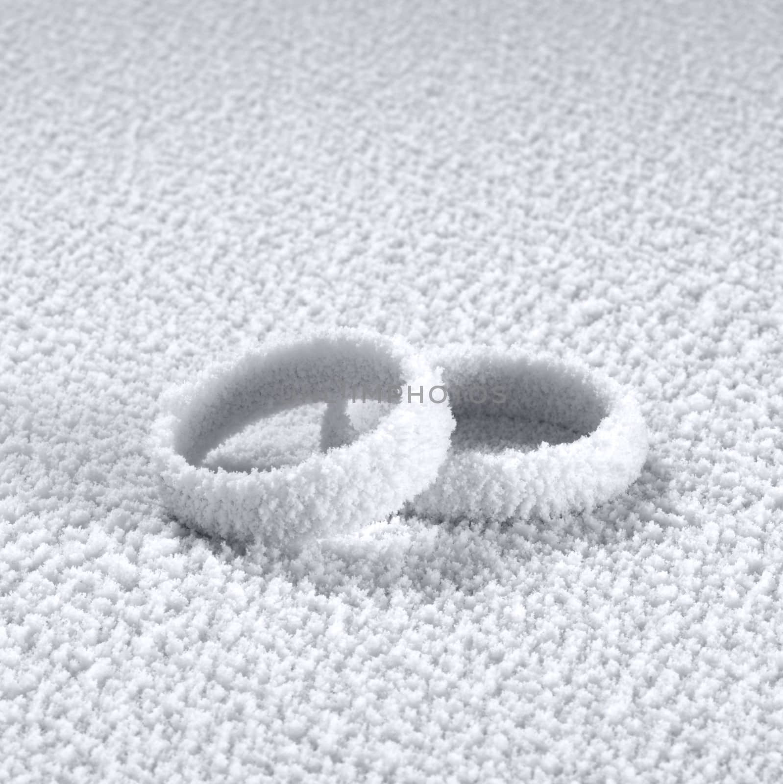 studio photography of two ice covered wedding rings in frosty back