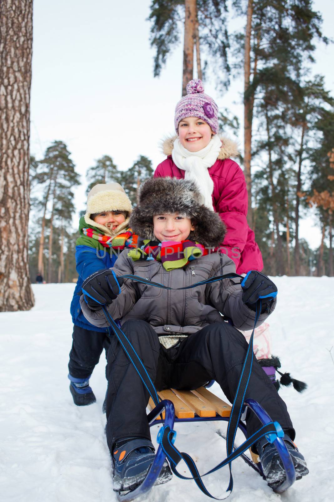 Cute three kids on sleds in snow forest. Focus on the boy