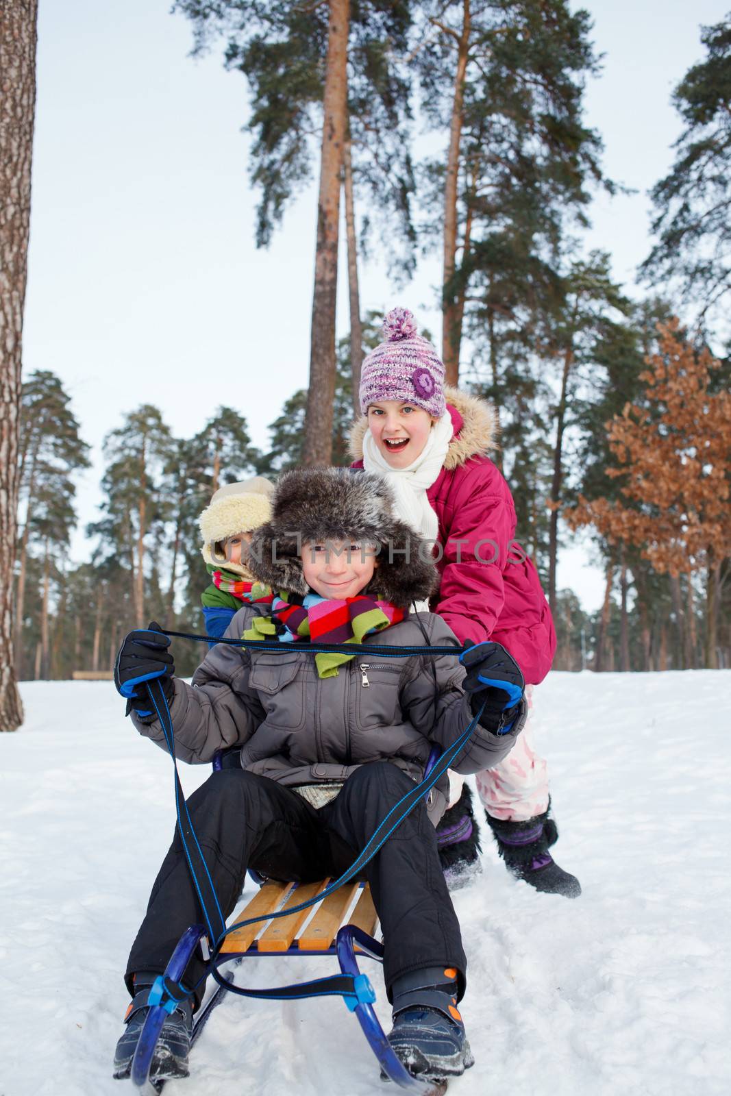 Children on sleds in snow by maxoliki