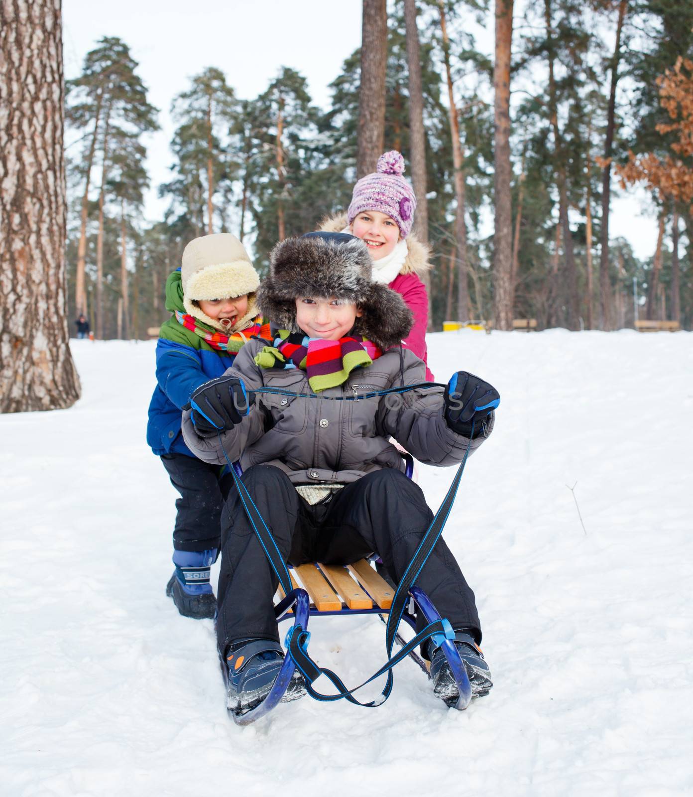 Children on sleds in snow by maxoliki