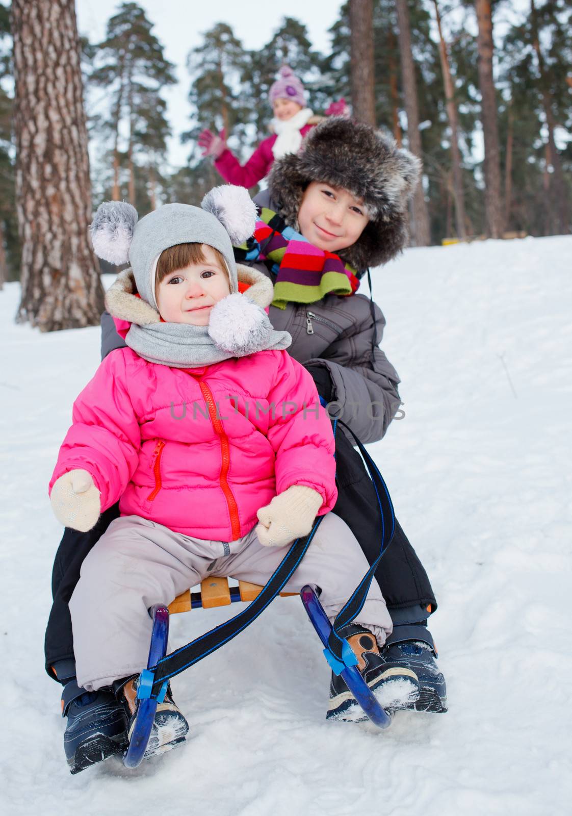 Cute three kids on sleds in snow forest. Focus on the boy