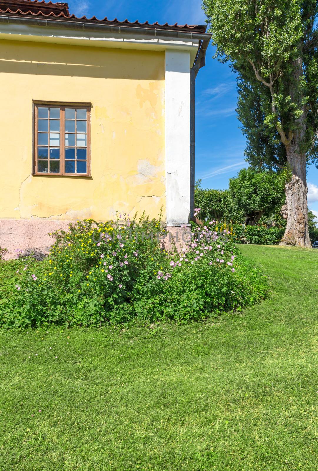 Classic Scandinavian house on a green lawn by anikasalsera