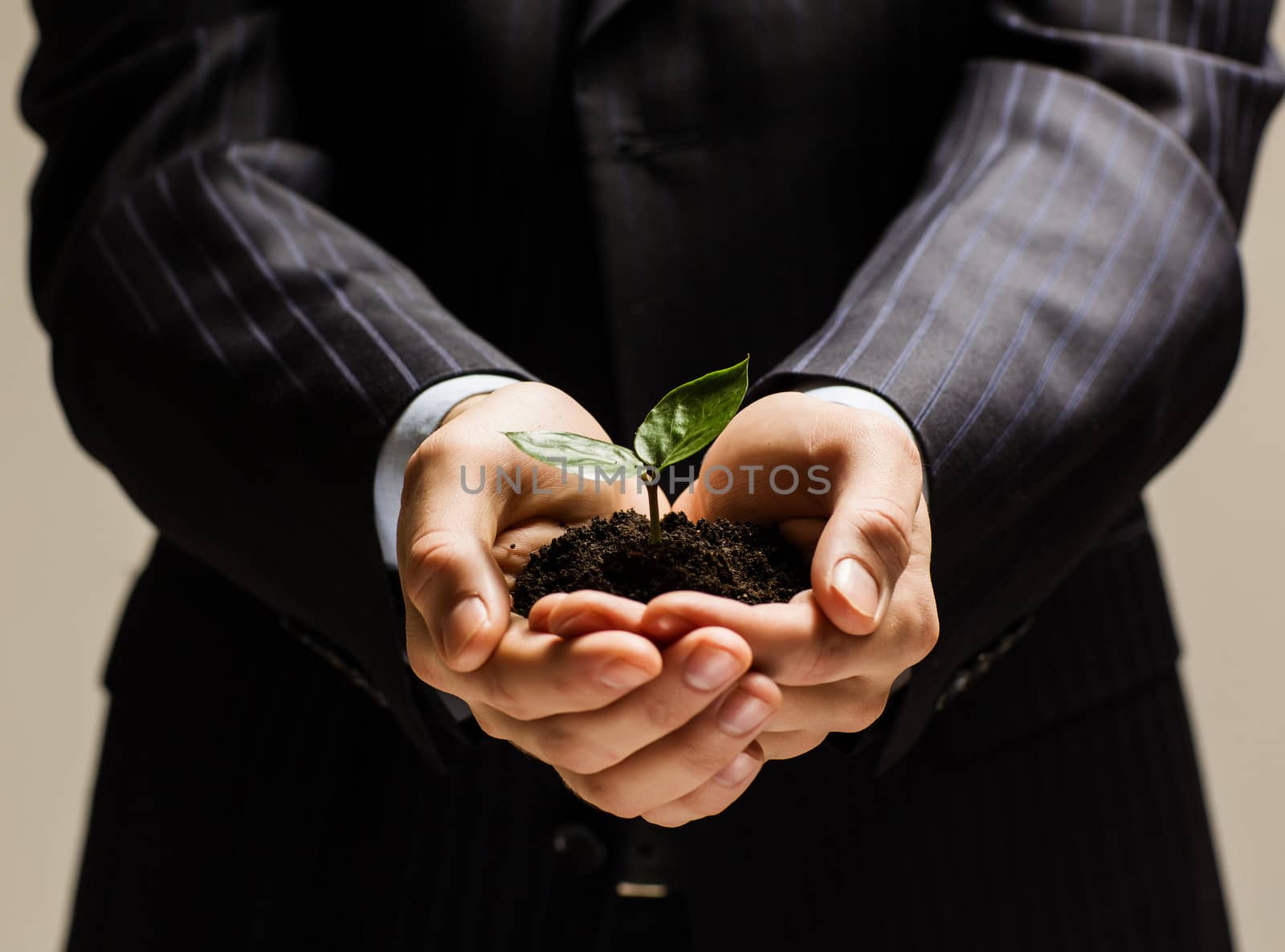 Close up of businessman hands with sprout in palms