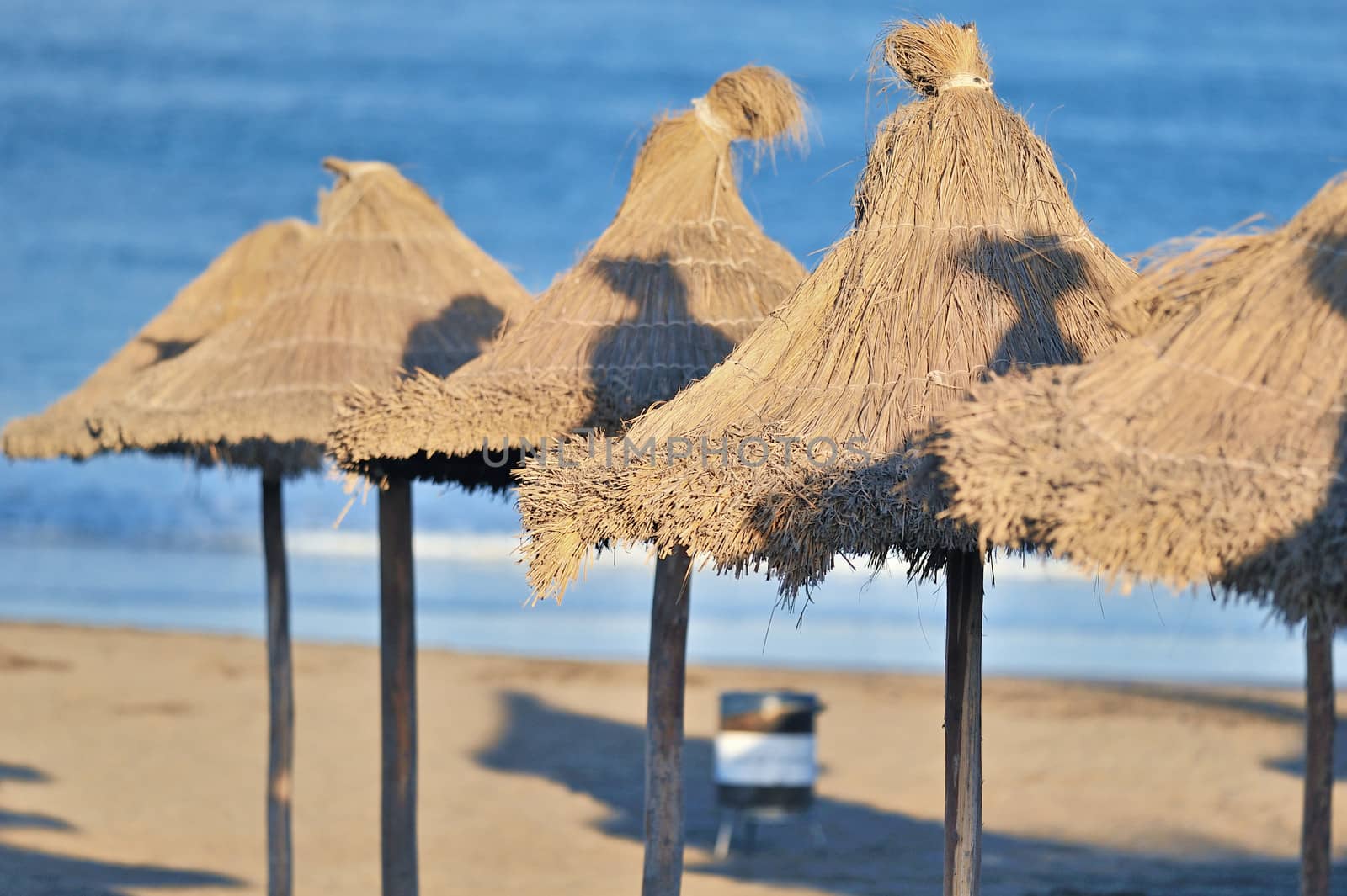 Sunshades in summer day at the beach near the sea