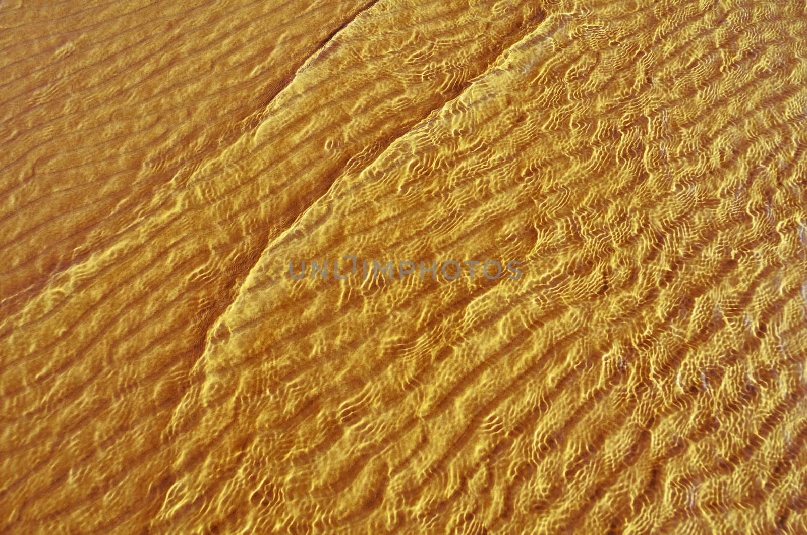 Transparent wave of the sea on the sandy beach