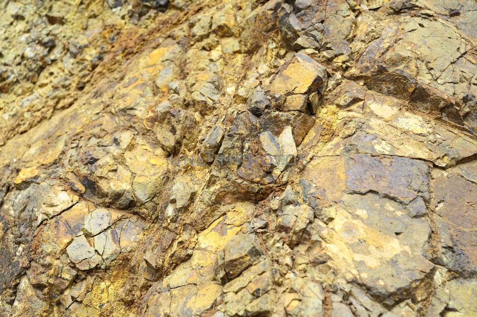 Close Up of a Volcanic Rock in Canary Islands Spain