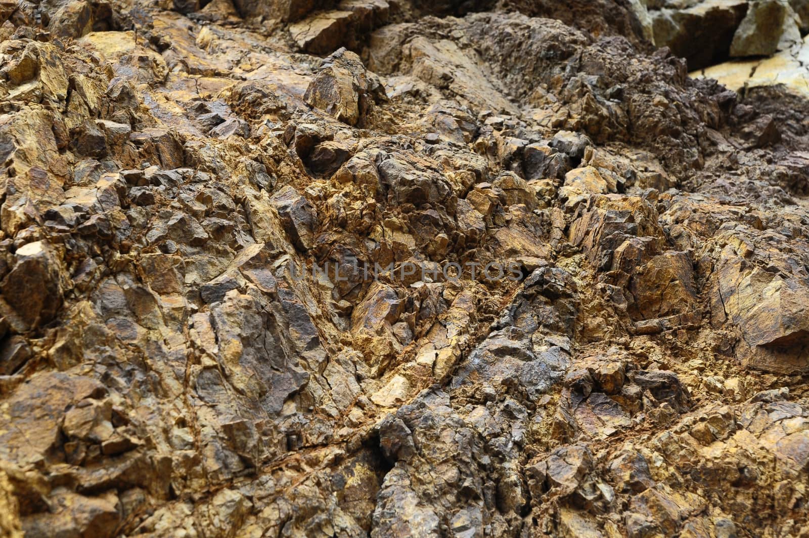 Close Up of a Volcanic Rock in Canary Islands Spain