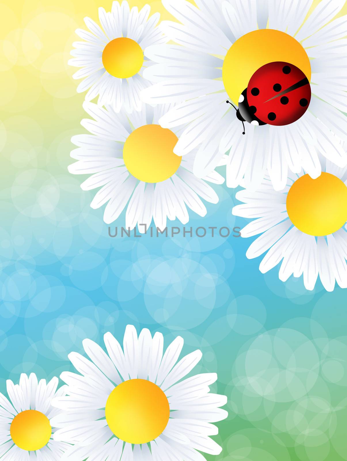 Ladybug on flower by adrenalina