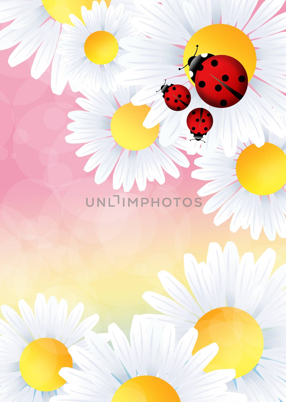 Ladybugs on flower by adrenalina