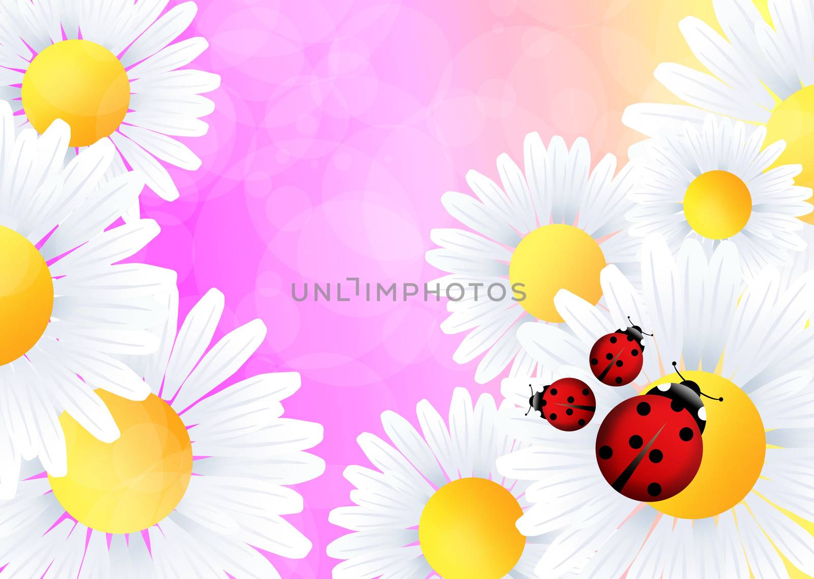 Ladybugs on flower by adrenalina