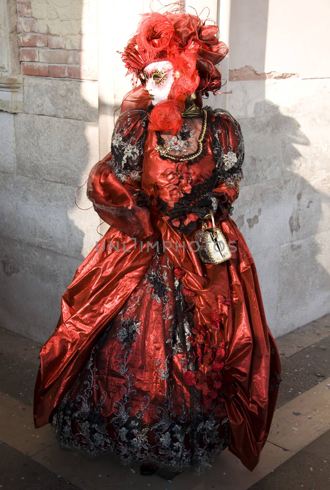 Venice Carnival Celebration Event in Saint Mark Square  by jelen80