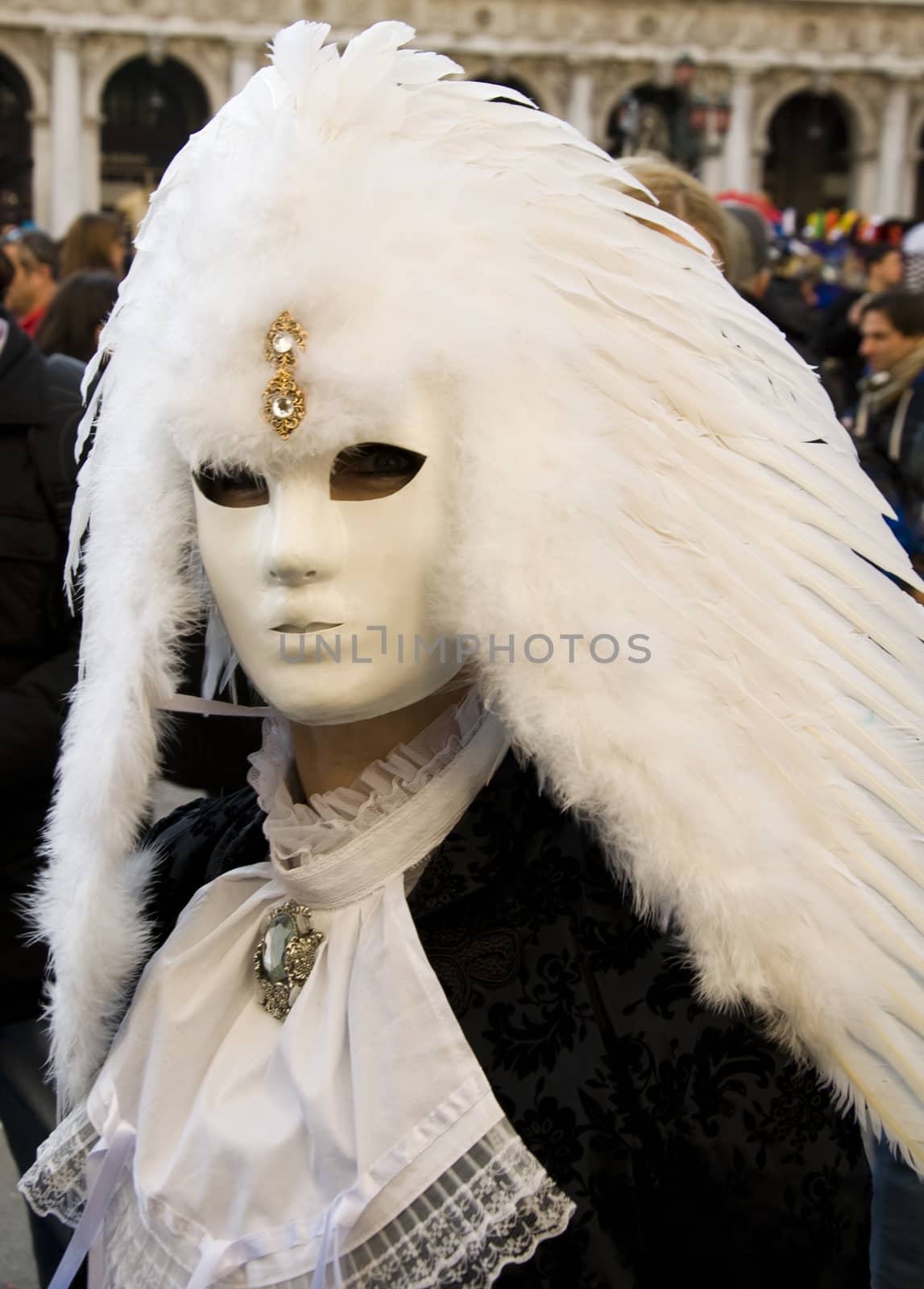 Venice Carnival Celebration Event in Saint Mark Square  by jelen80