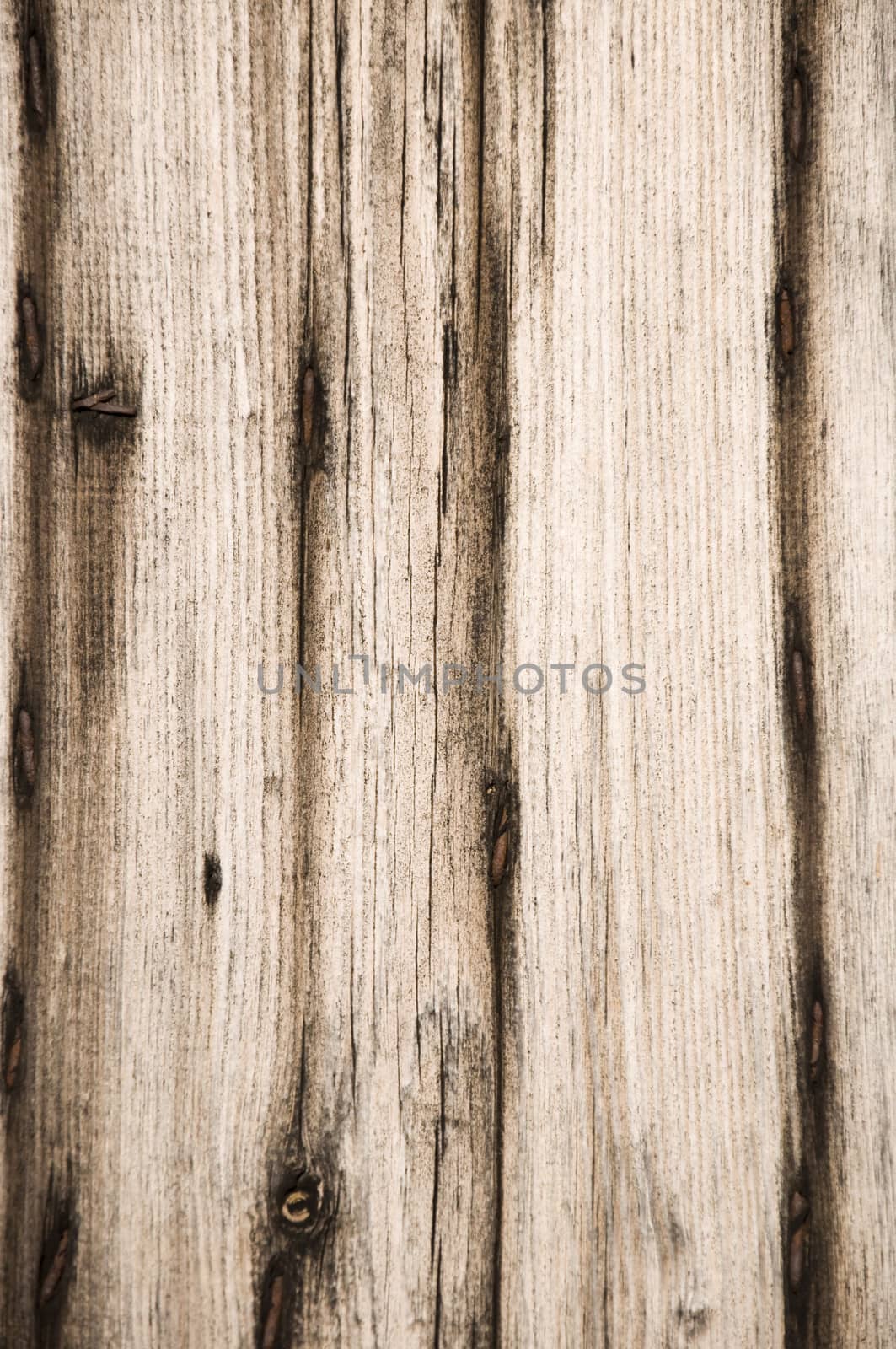 The brown wood texture with natural patterns 