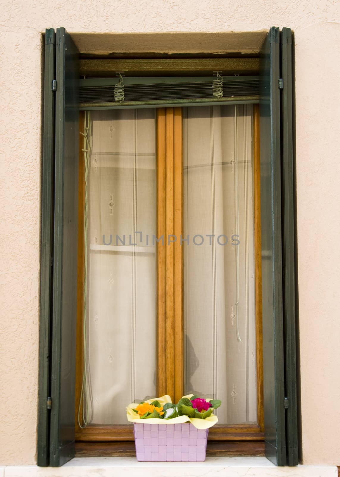 Old window in Venice with flower