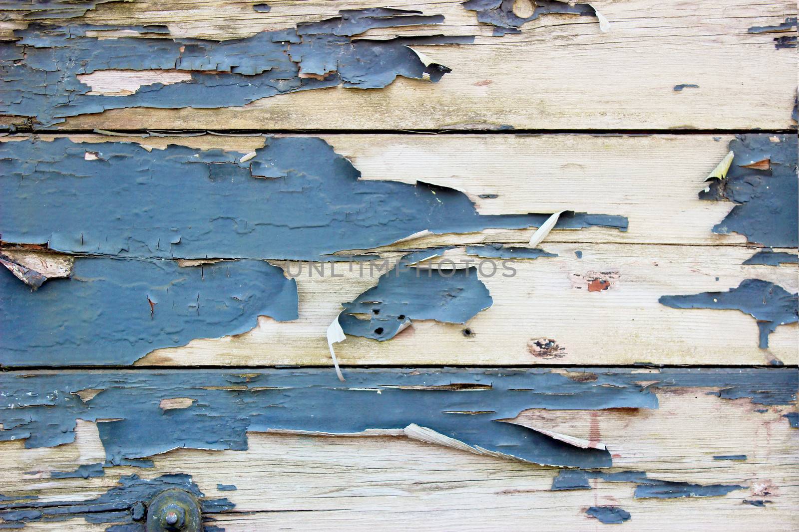 A Grunge Background with Old Wooden Boards and Peeling Paint