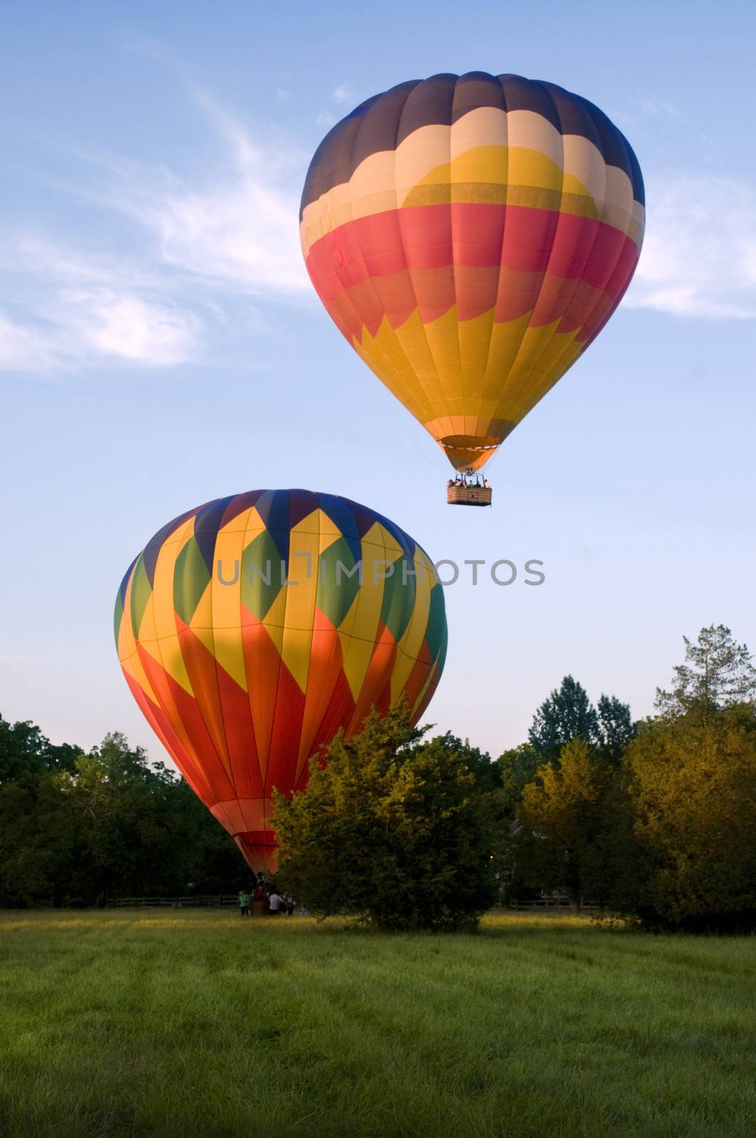 Two hot-air balloons taking off or landing in a field. One is on the ground. The other is airborne.
