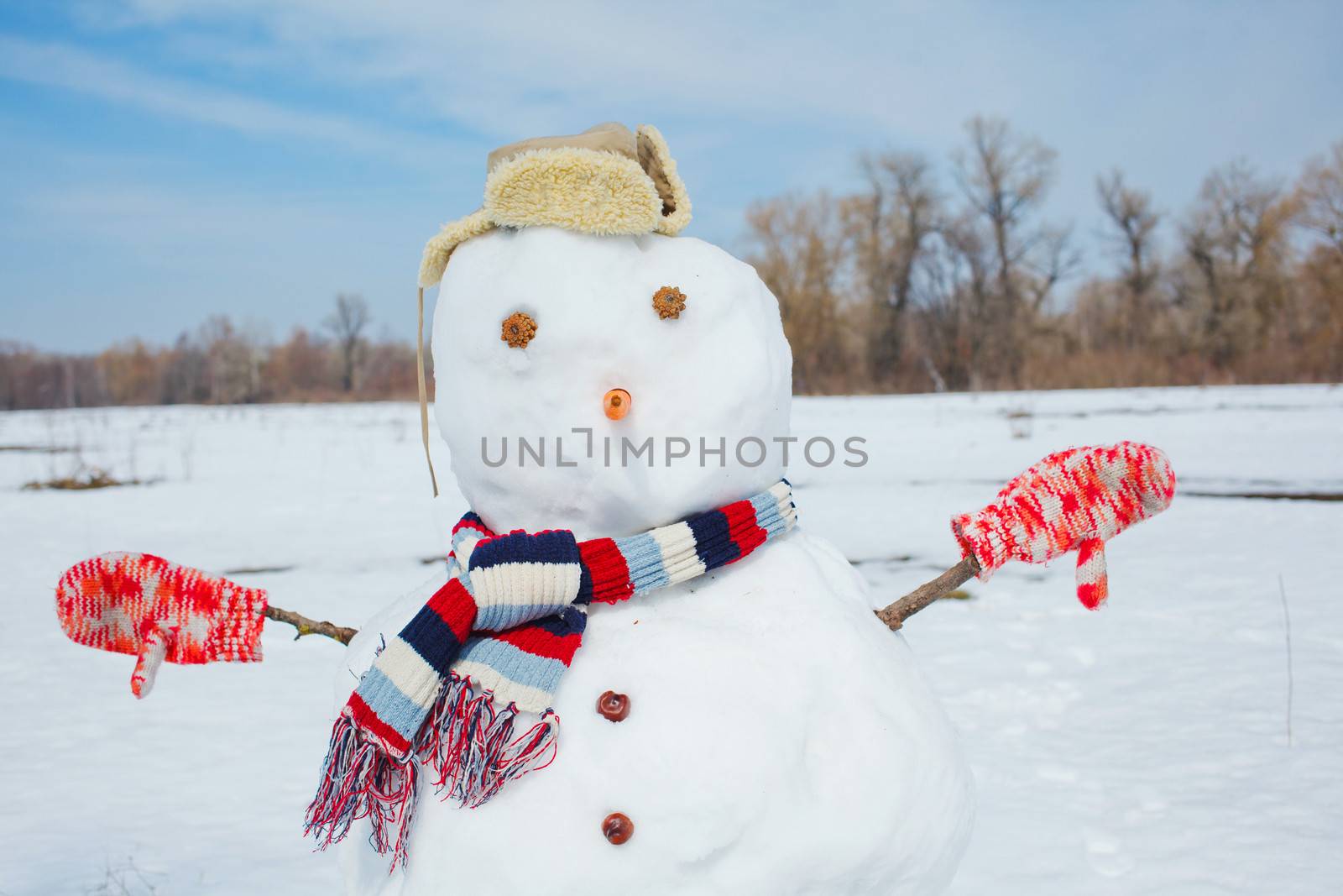 Real big amusing snowman clouse up with top hat and carrot nose on a beautiful and cold winter morning.