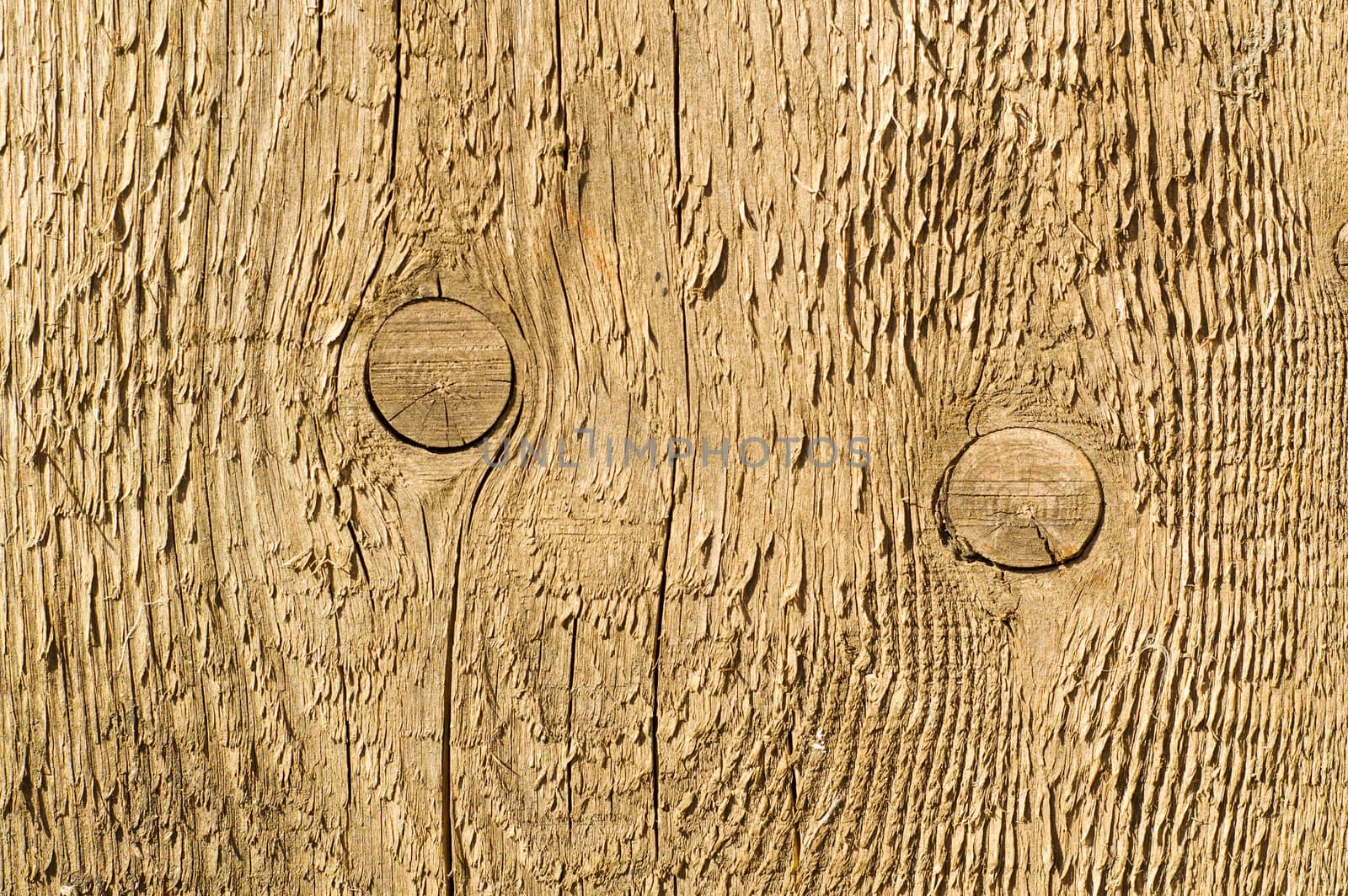 wooden texture