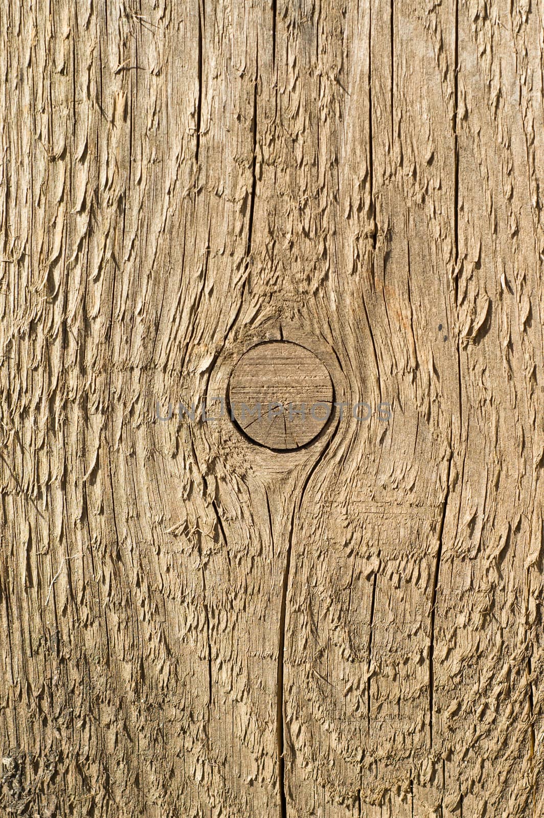 wooden texture by mycola