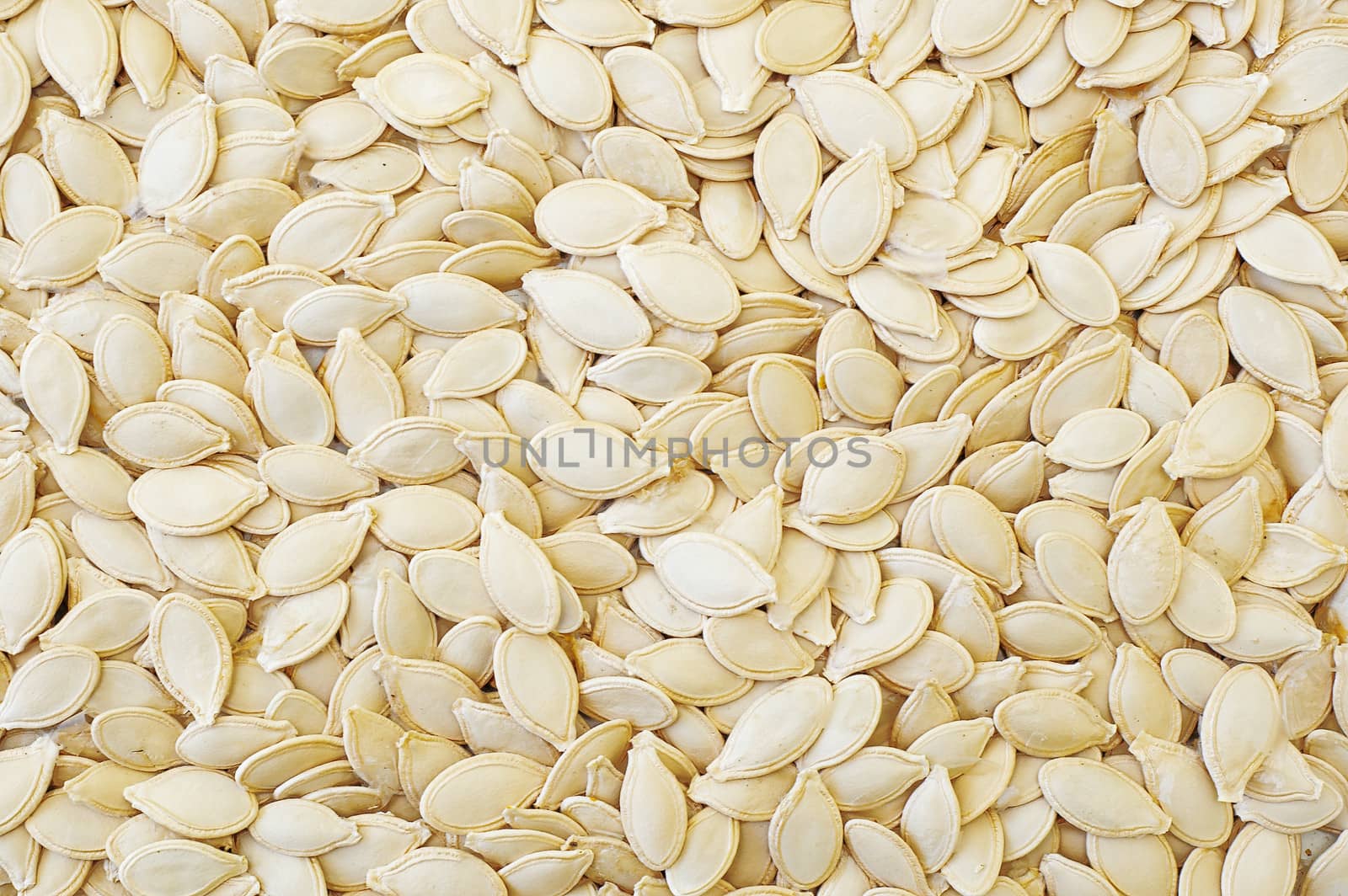 closeup shot of dry pumpkin seeds