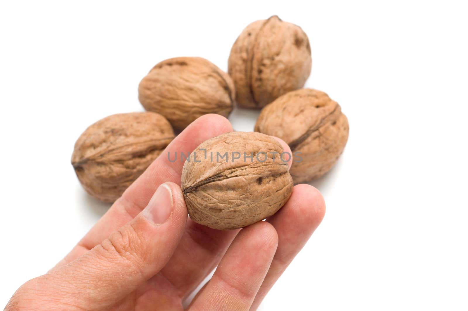 walnut in hand