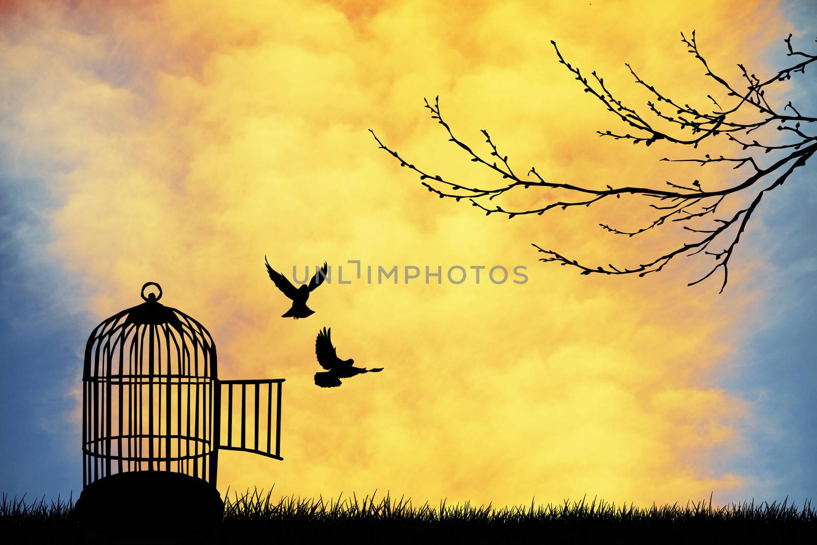 Bird cage by adrenalina