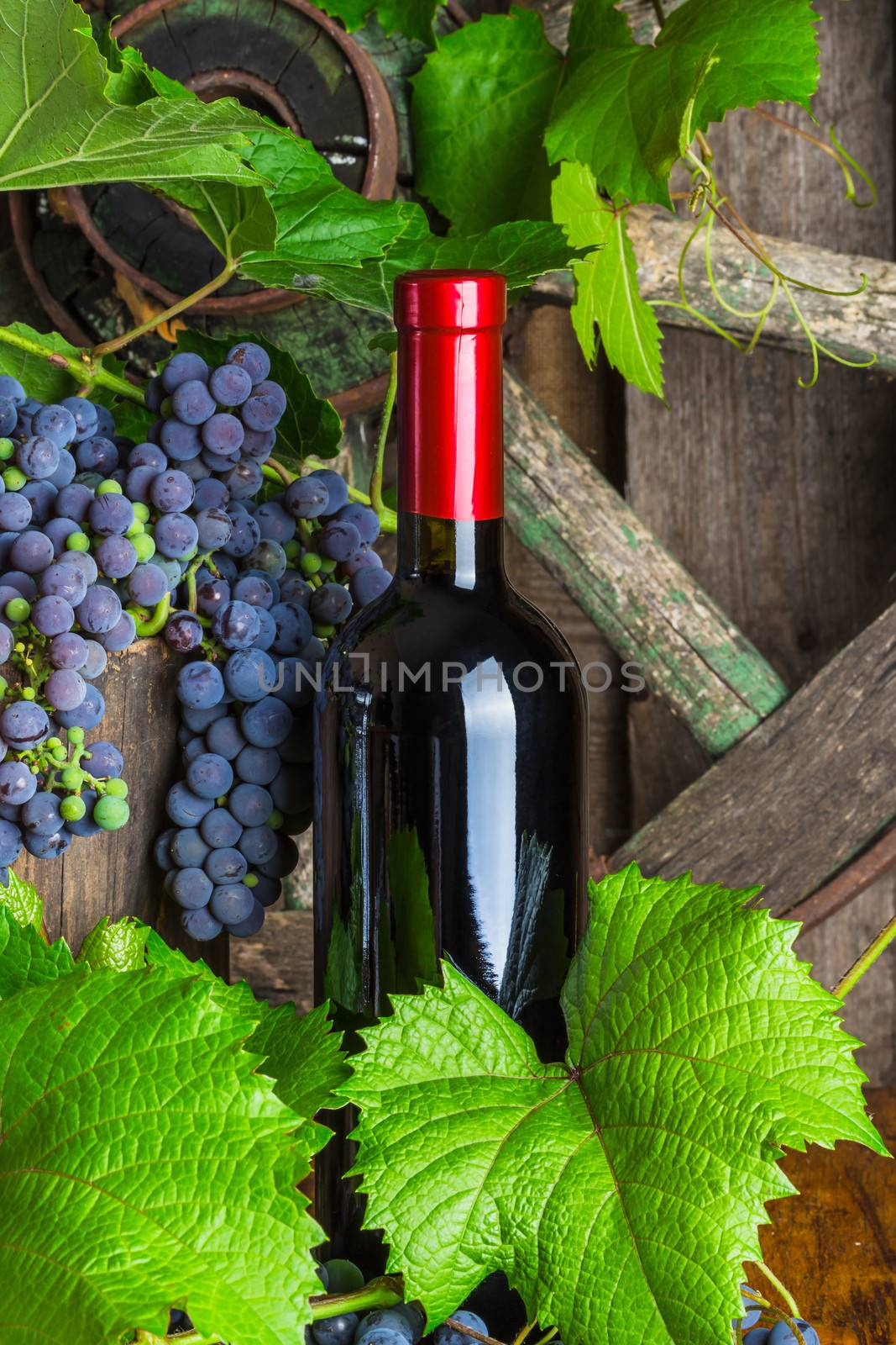 A bottle of red wine on the background of  grapes by oleg_zhukov