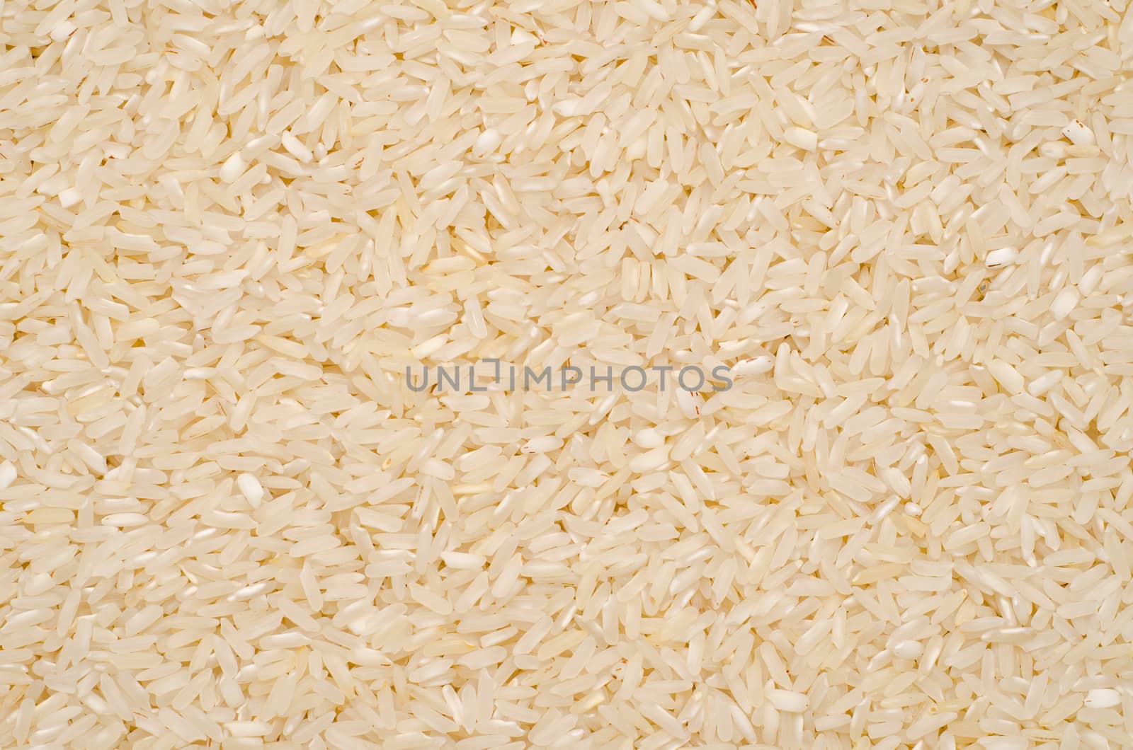 texture with rice