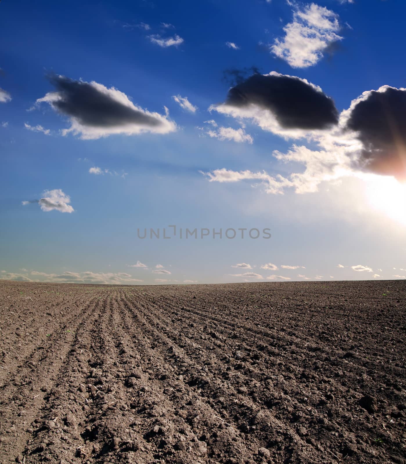 black ploughed field under blue cloudy sky