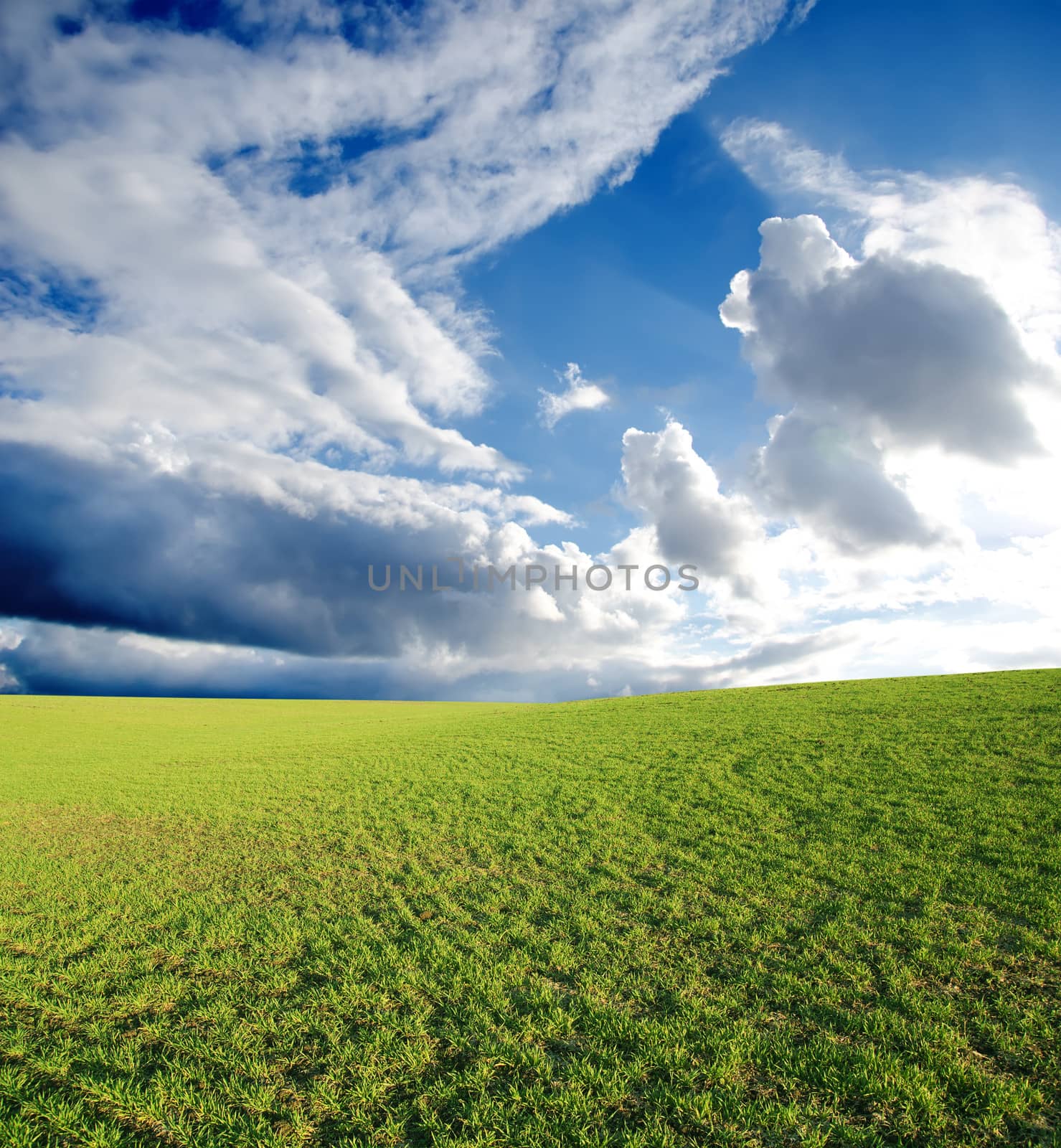 field with green grass under deep blue sky with clouds by mycola