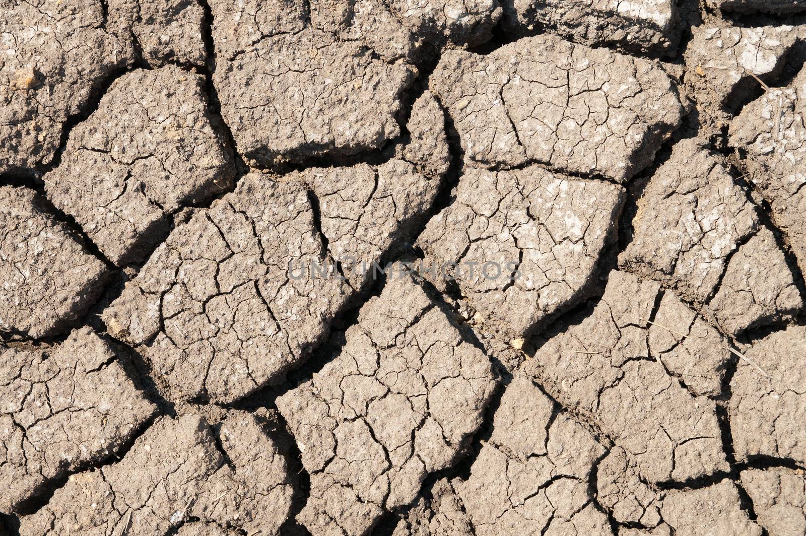 cracked arid soil