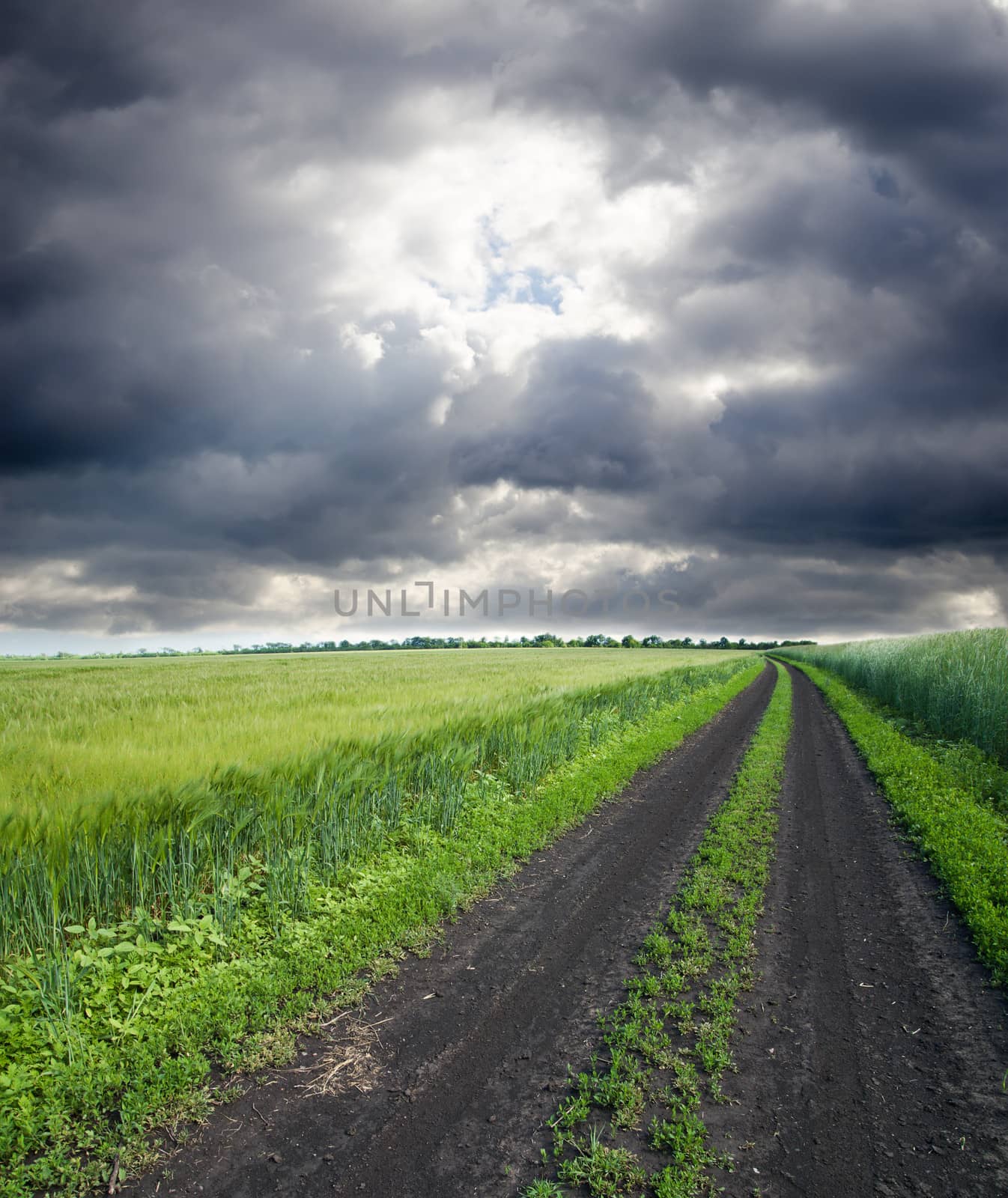 rural road in green field under cloudy sky by mycola