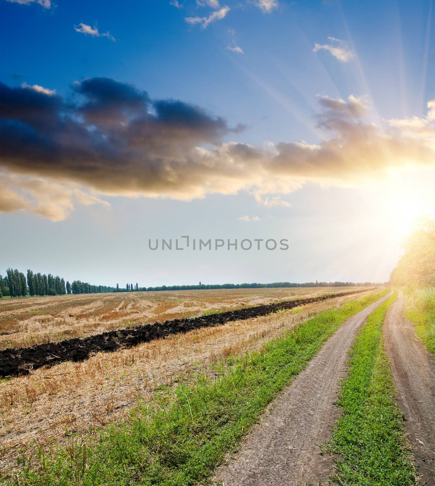 sunset over field and rural road by mycola