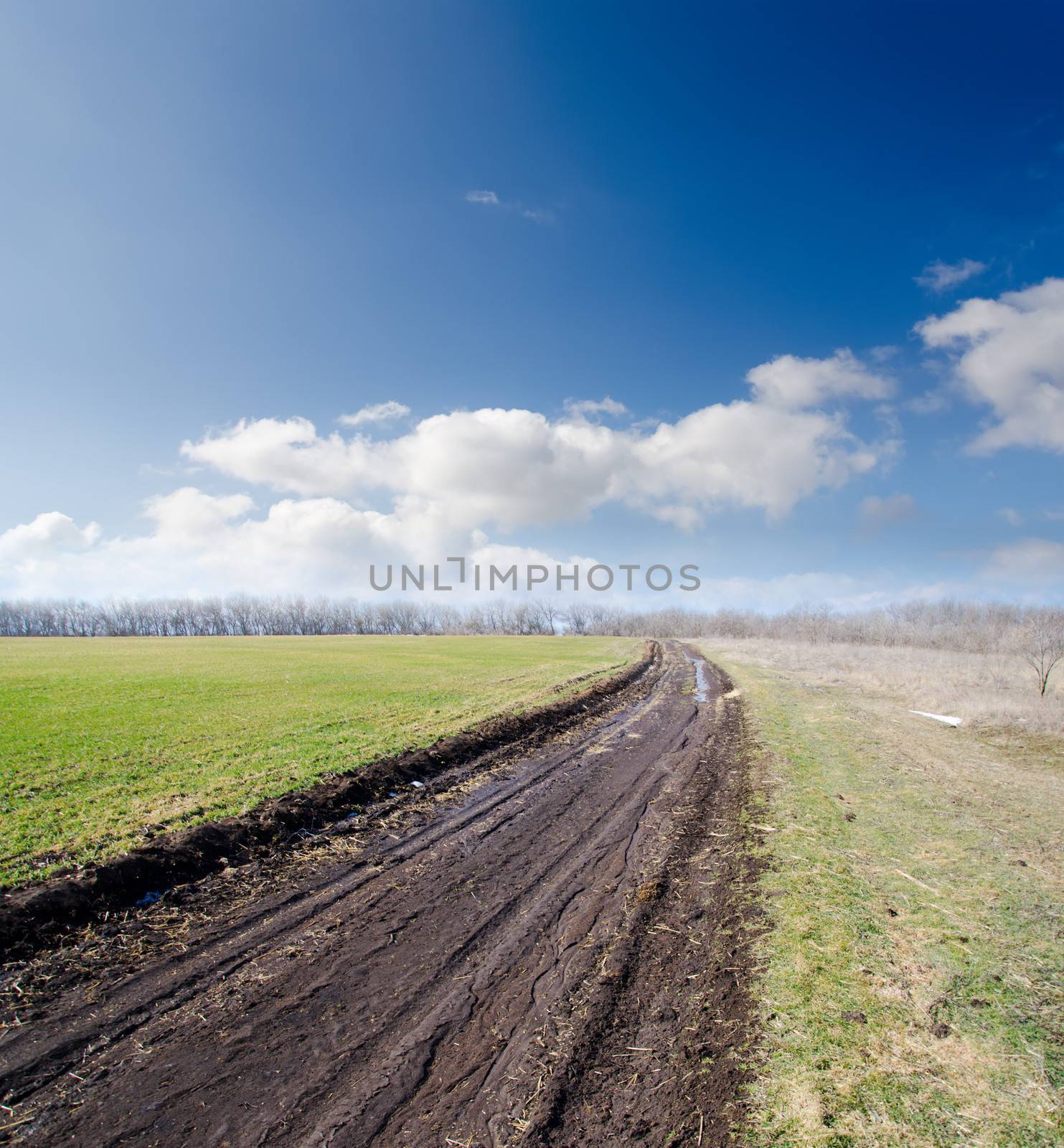 rural road in spring under cloudy sky by mycola