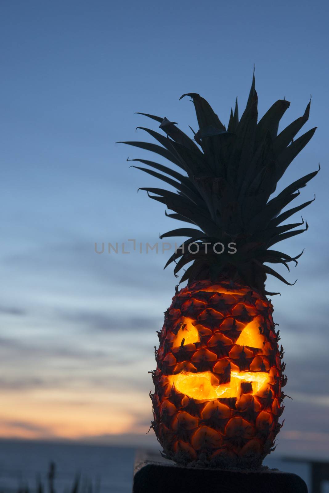 Tropical halloween lantern pinapple with copy space