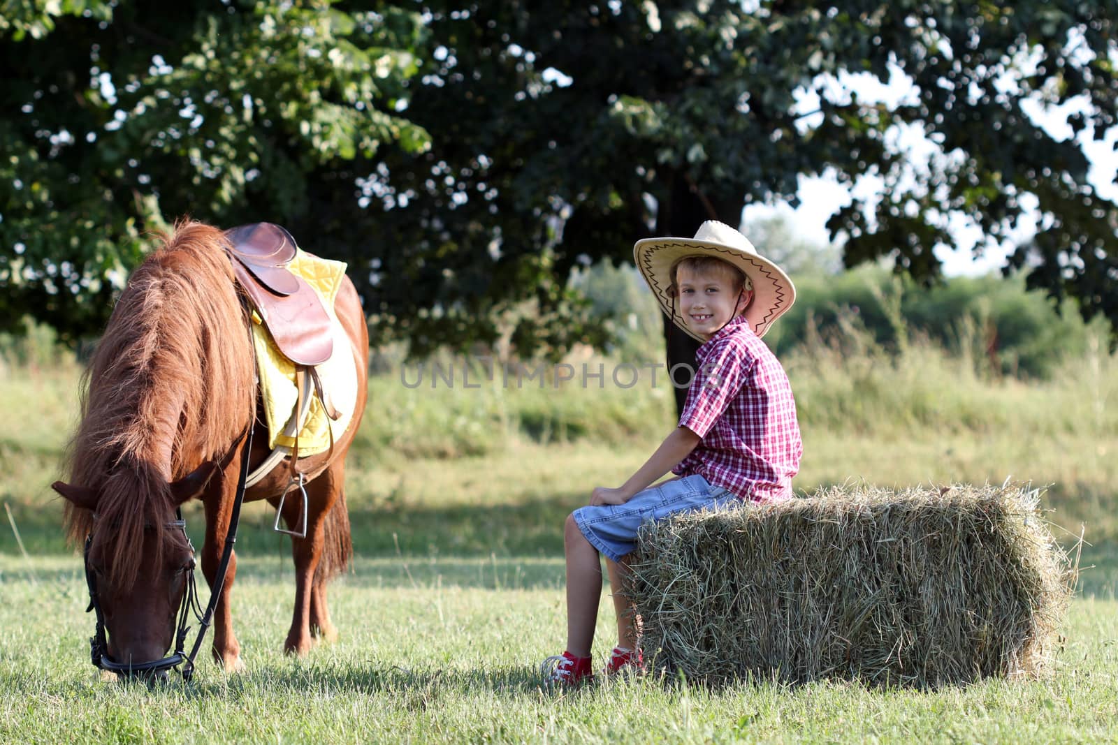 happy boy and pony horse on farm by goce