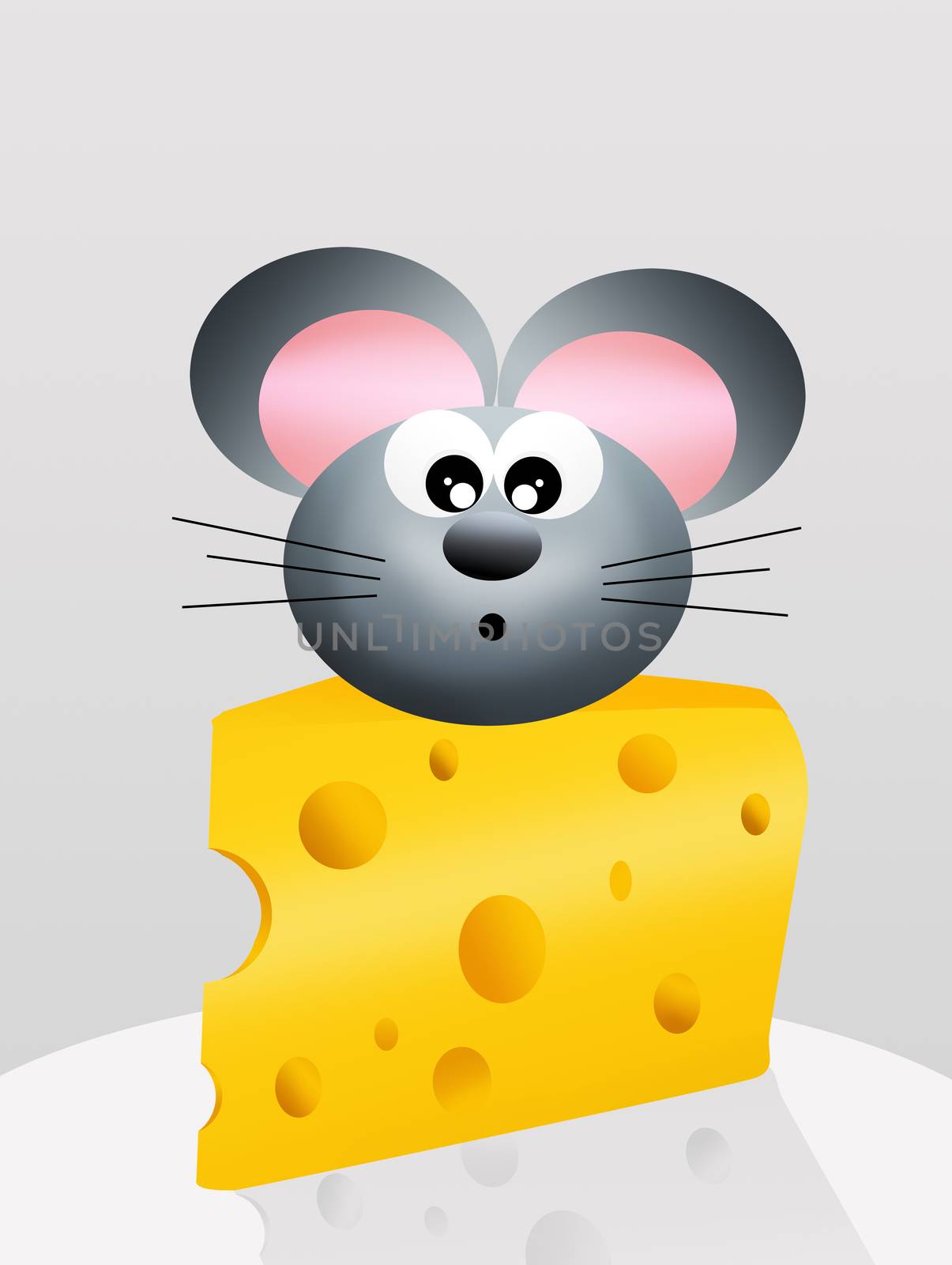 mouse on cheese