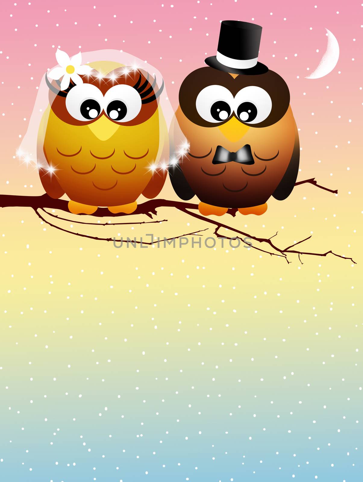 Two owls on branches