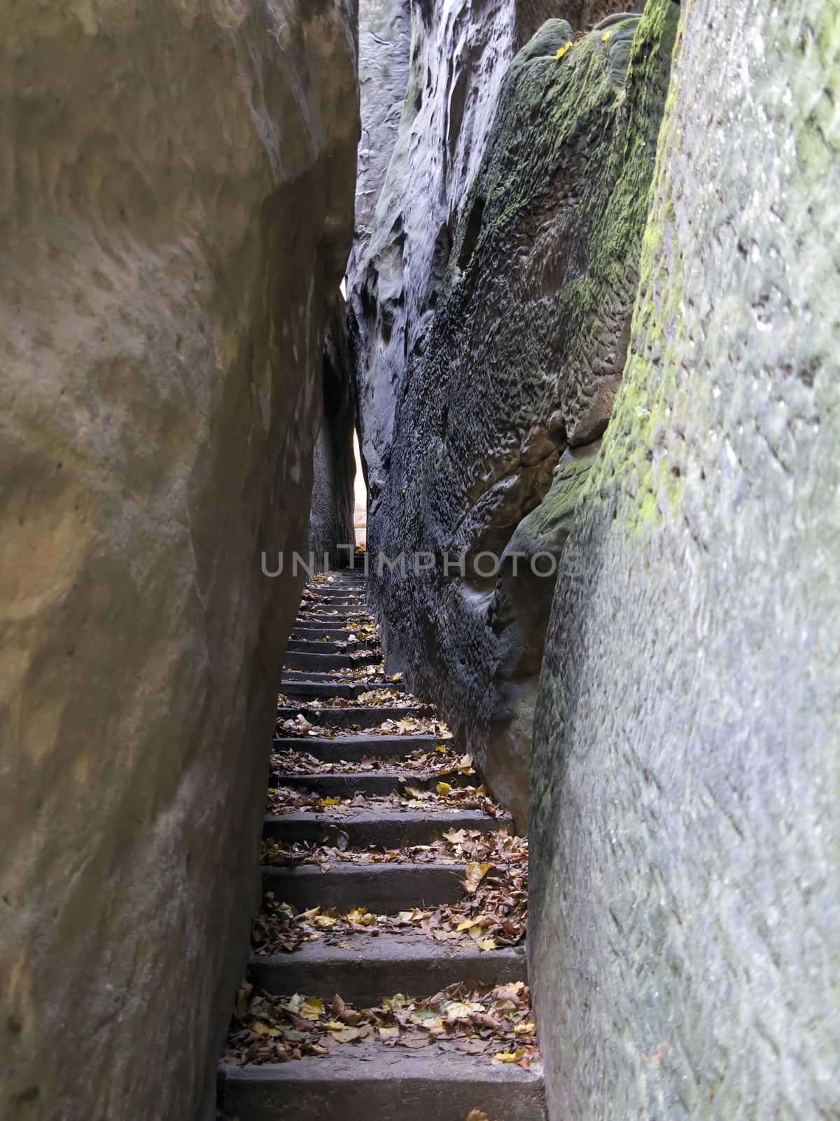 Narrow Parh - Mousehole - in rocks city in Bohemian Paradise.
Bohemian Paradise is the Natural Protected Area. It was declared in 1955 was the first nature reserve in the Czech Republic. This part of land is popular thanks to a beautiful and varied countryside. There are a lot of places which should be seen - many natural beauties, castles, chateaus, ruins, museums, and other sights.