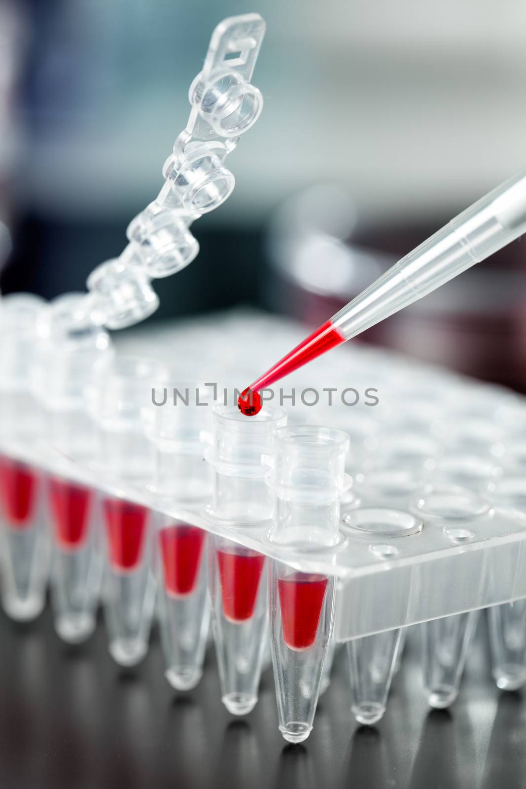 Loading of PCR samples in numbered plastic tubes by motorolka