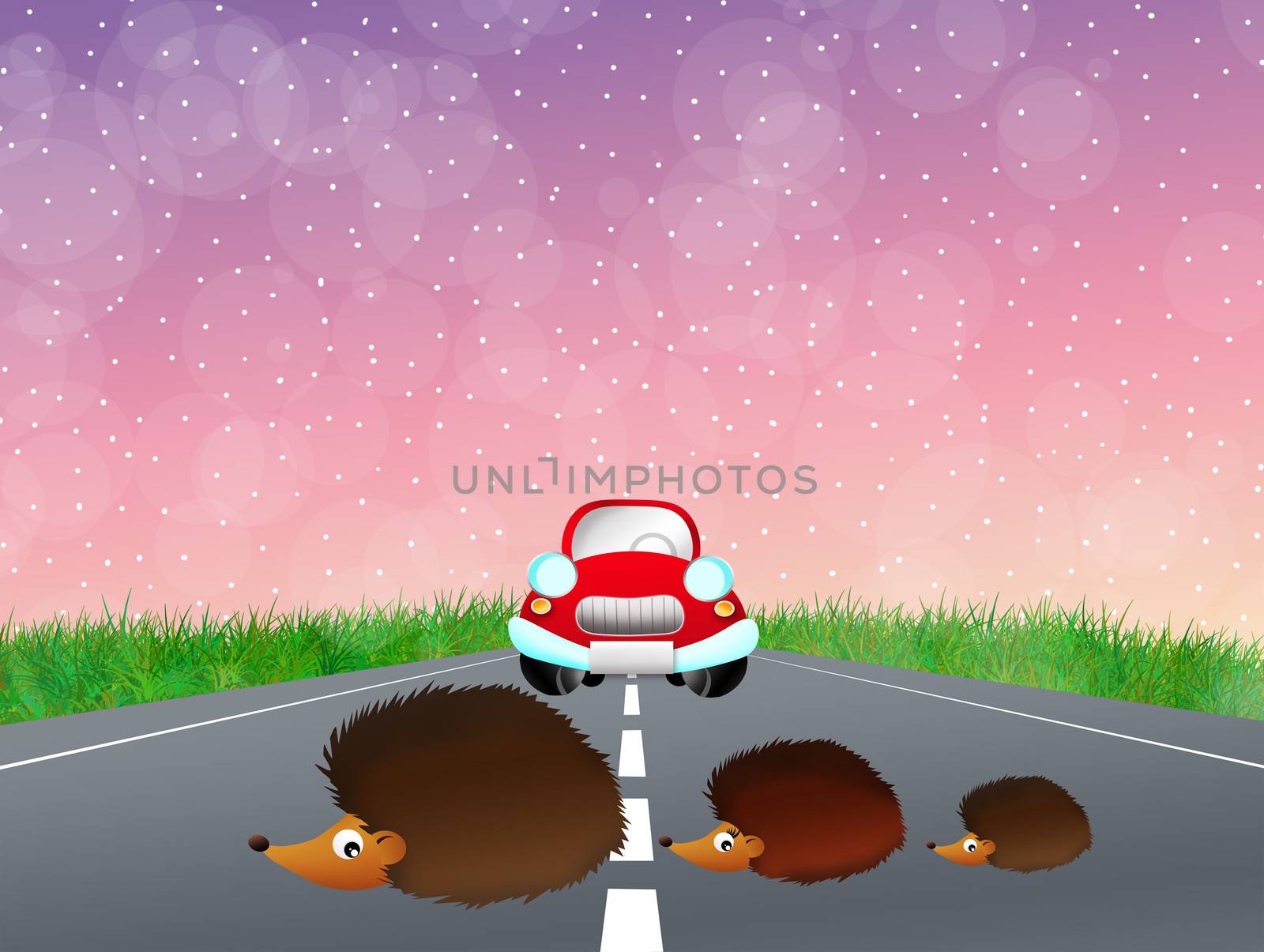 Hedgehogs on the road by adrenalina