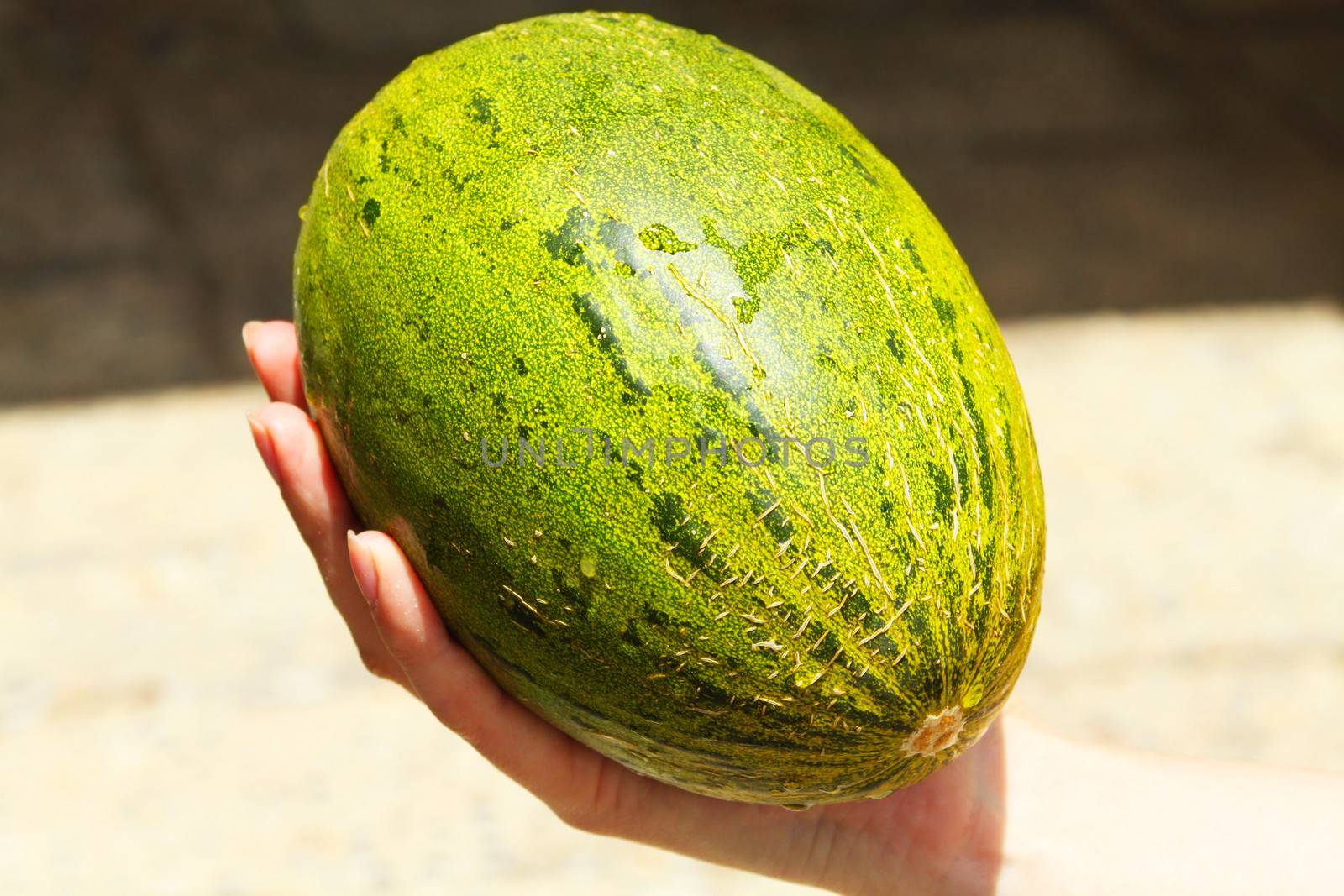 A green melon in the girl's hand

