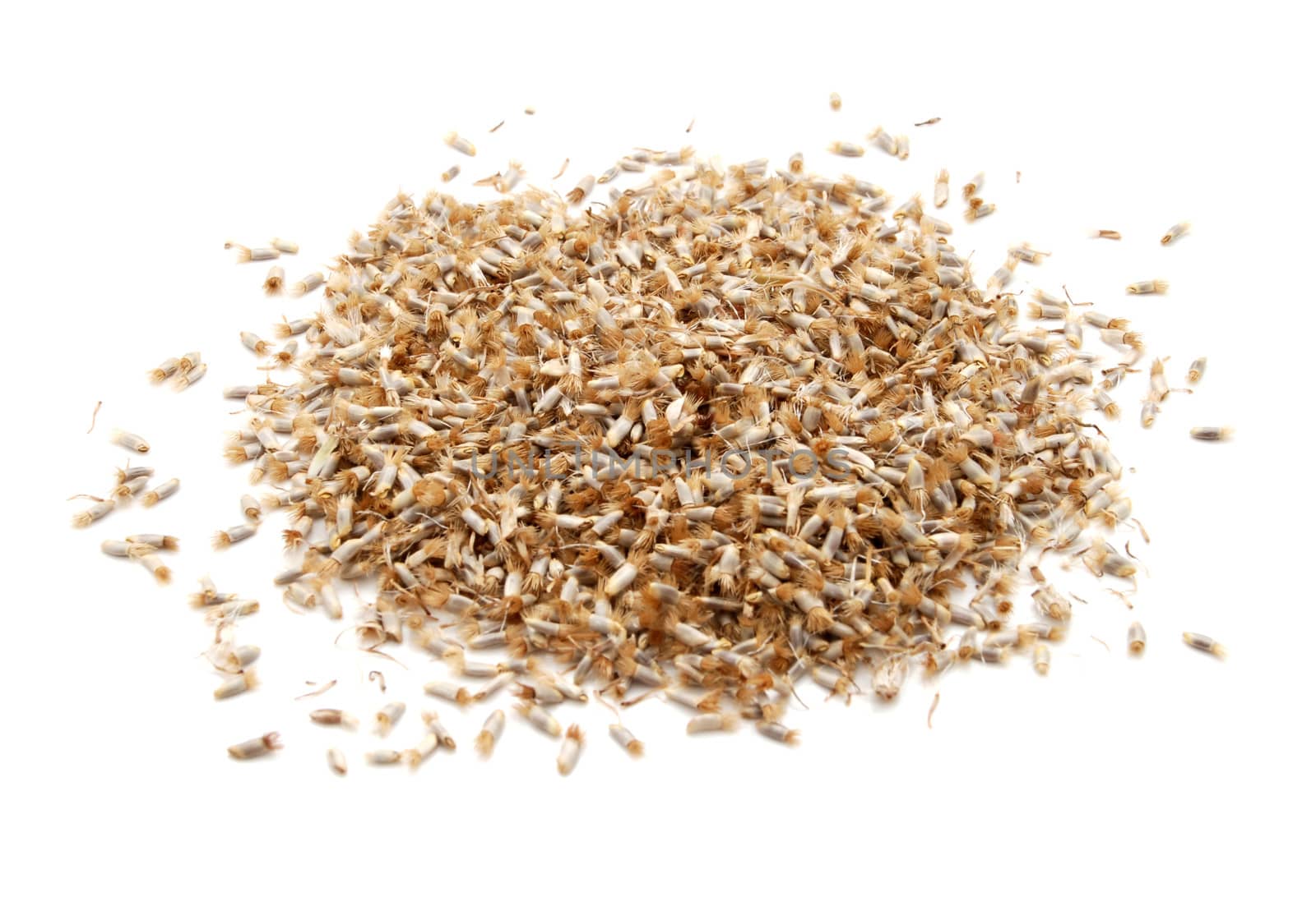 Cornflower seeds, isolated on a white background