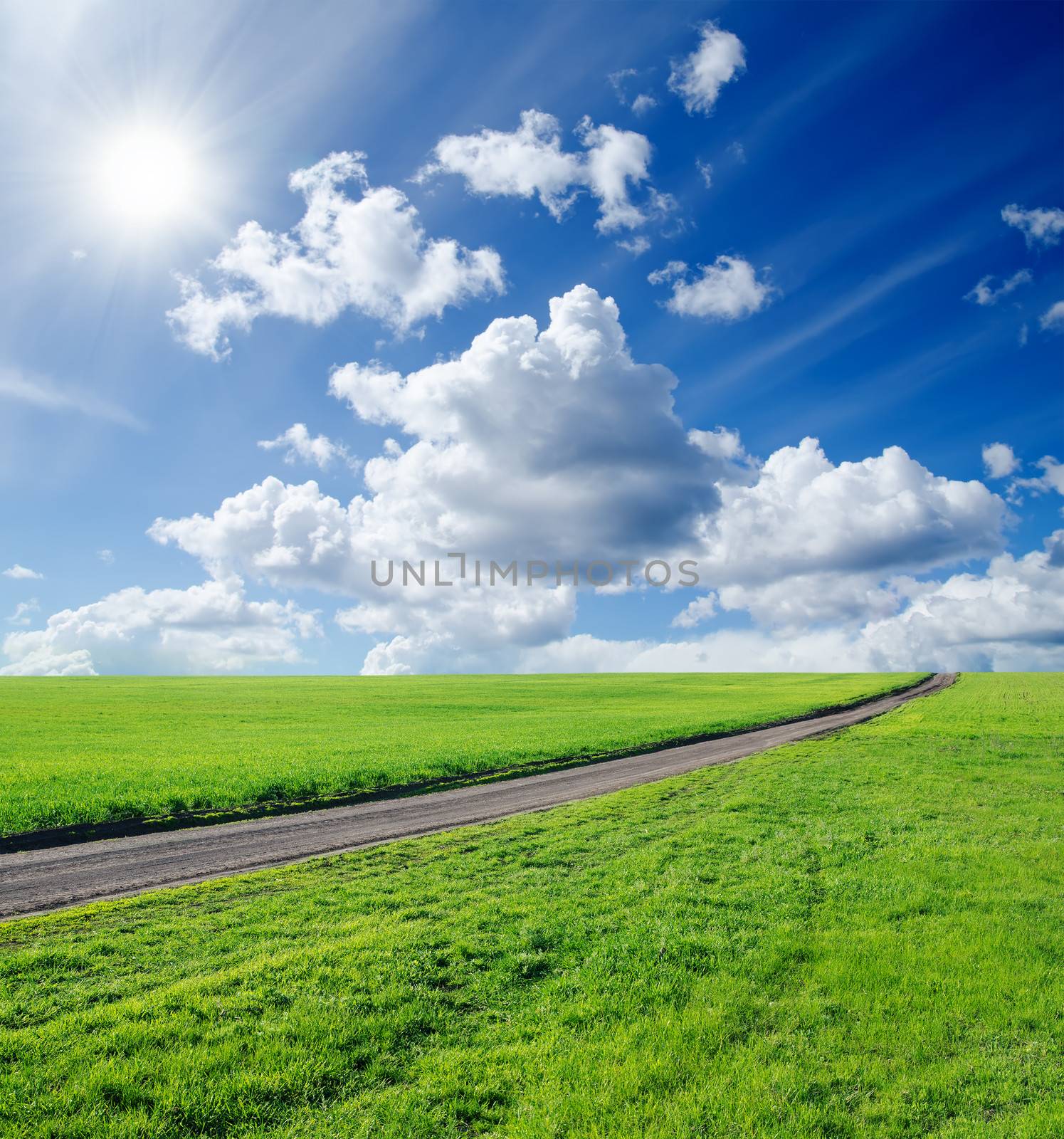 rural road in green field by mycola