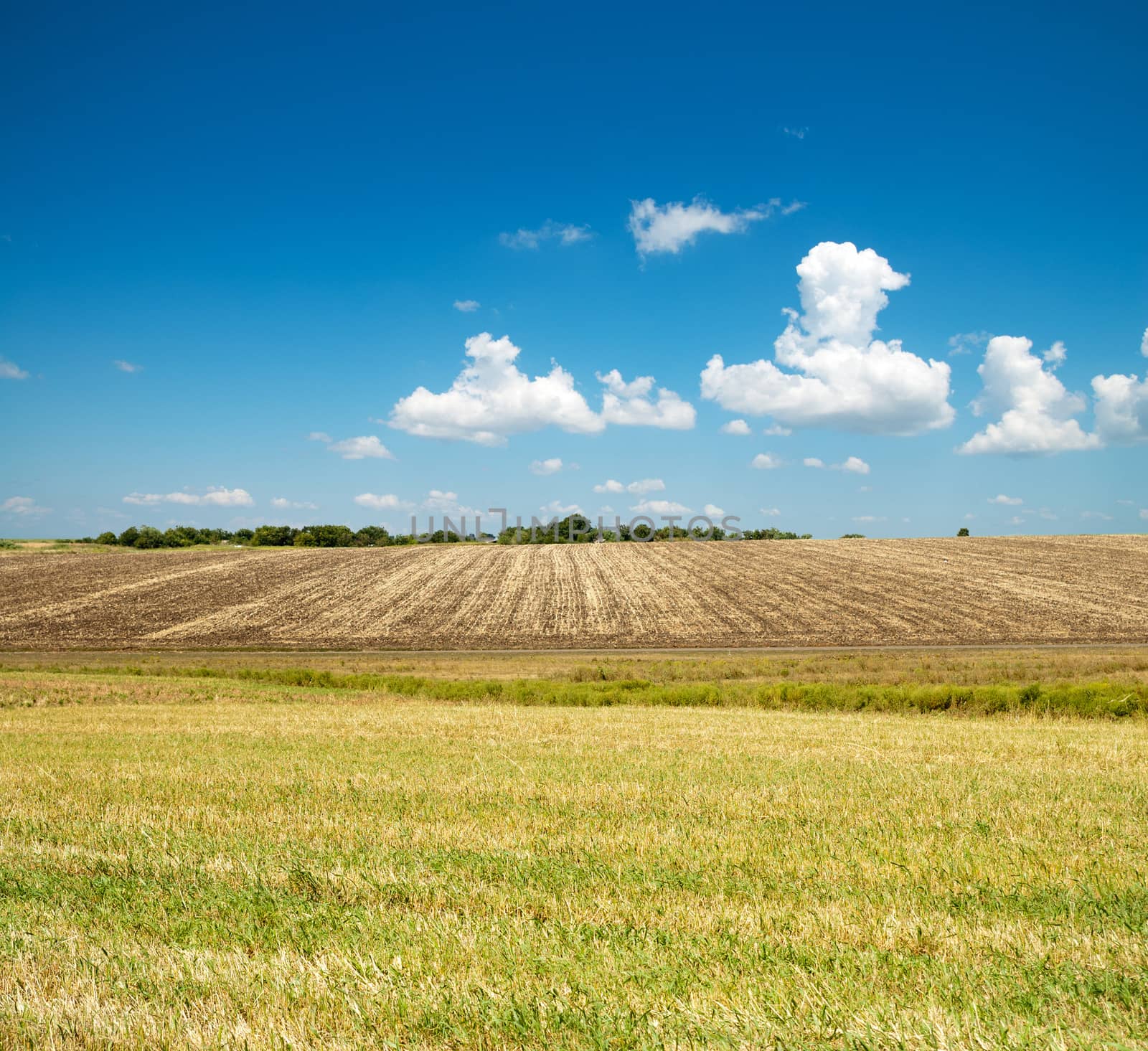 ploughed and green fields under blue cloudy sky