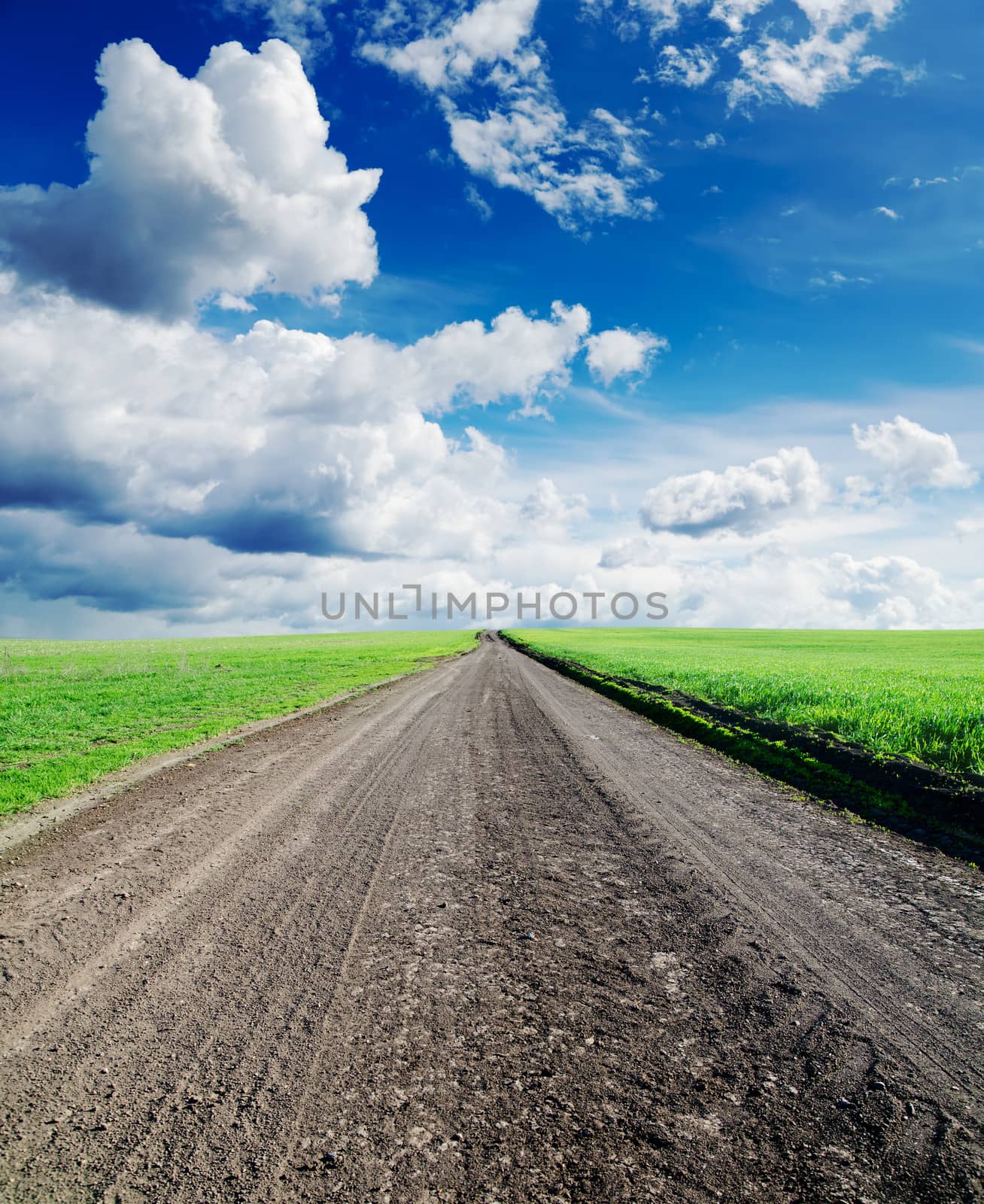 rural road in green grass and cloudy sky