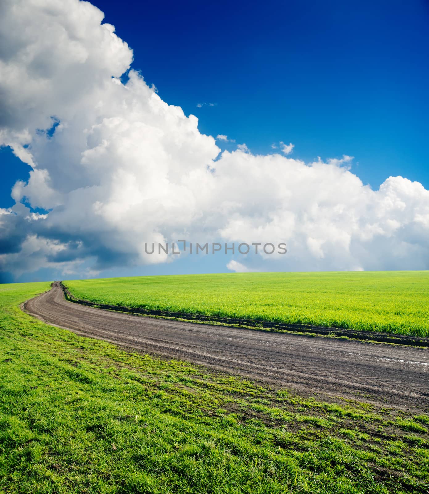 dirty road in green field under cloudy sky